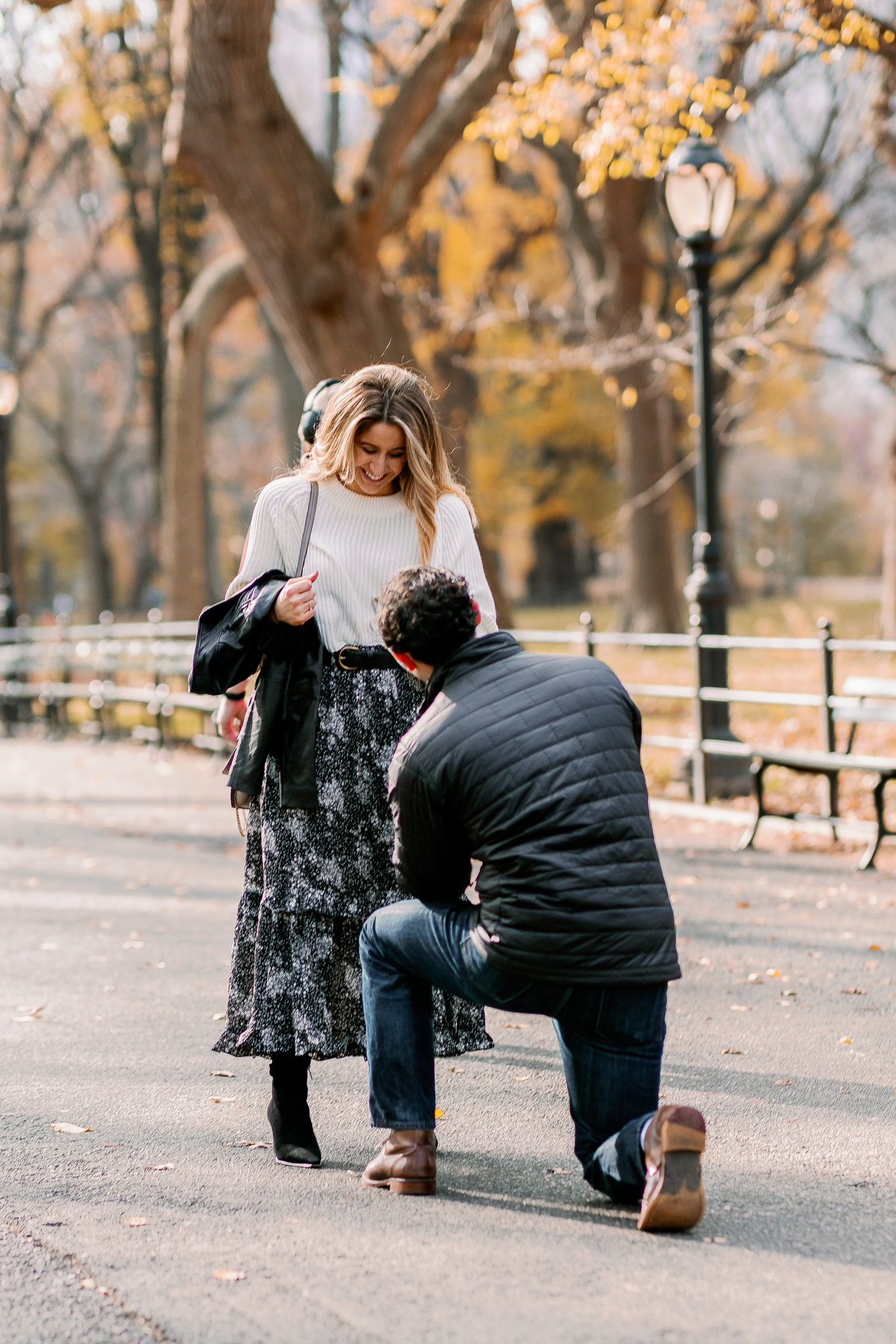 Central Park Proposal at the Mall