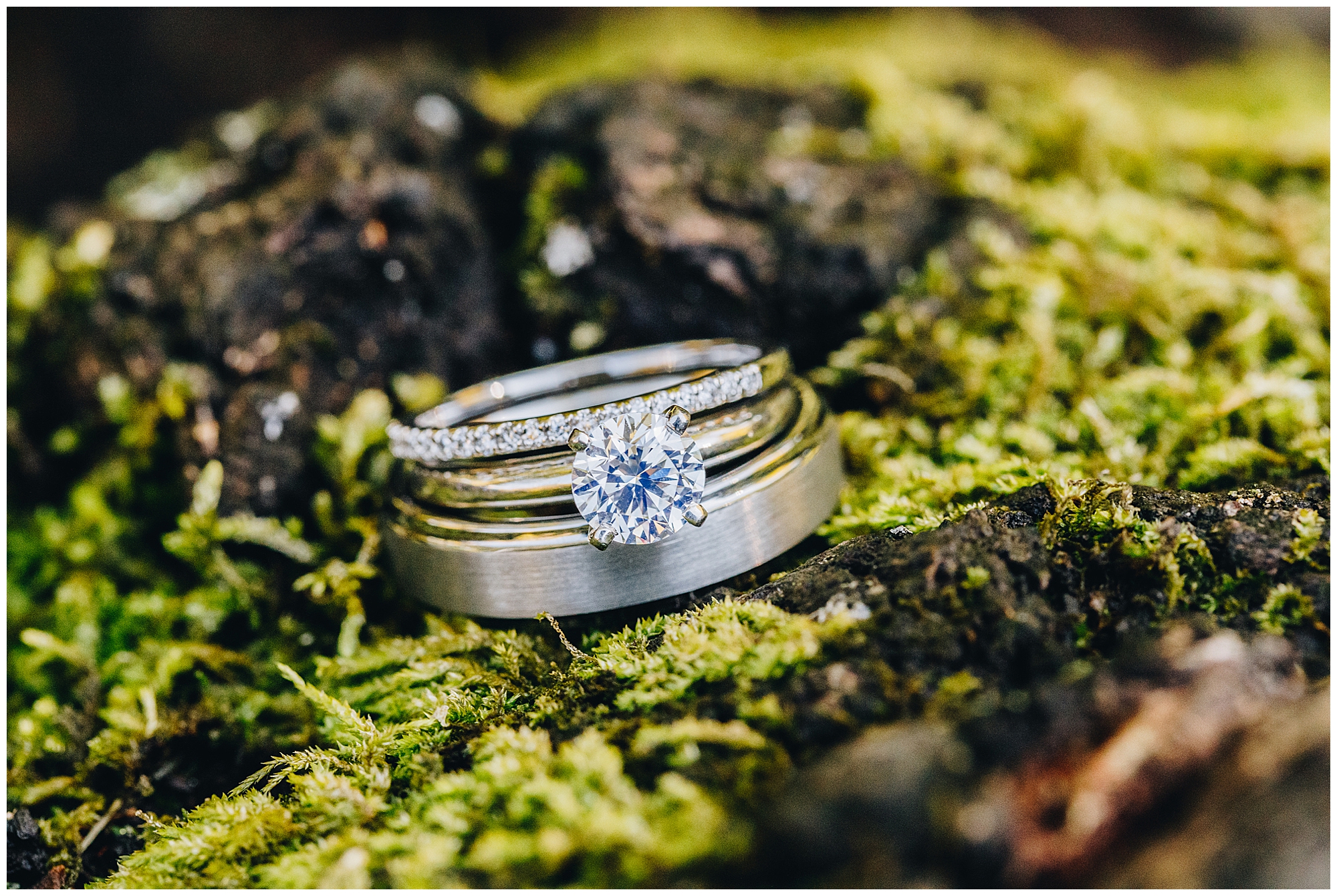 Close-up of a diamond engagement ring, a wedding band with small diamonds, and a plain silver band stacked together on moss-covered tree bark—perfect details for a Wagner Cove elopement.