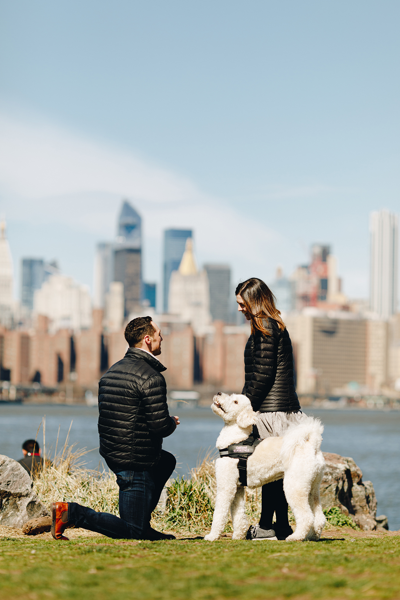 Top Places to Propose in NYC