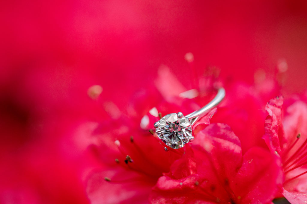 Gorgeous Springtime Brooklyn Botanic Garden Proposal Photos