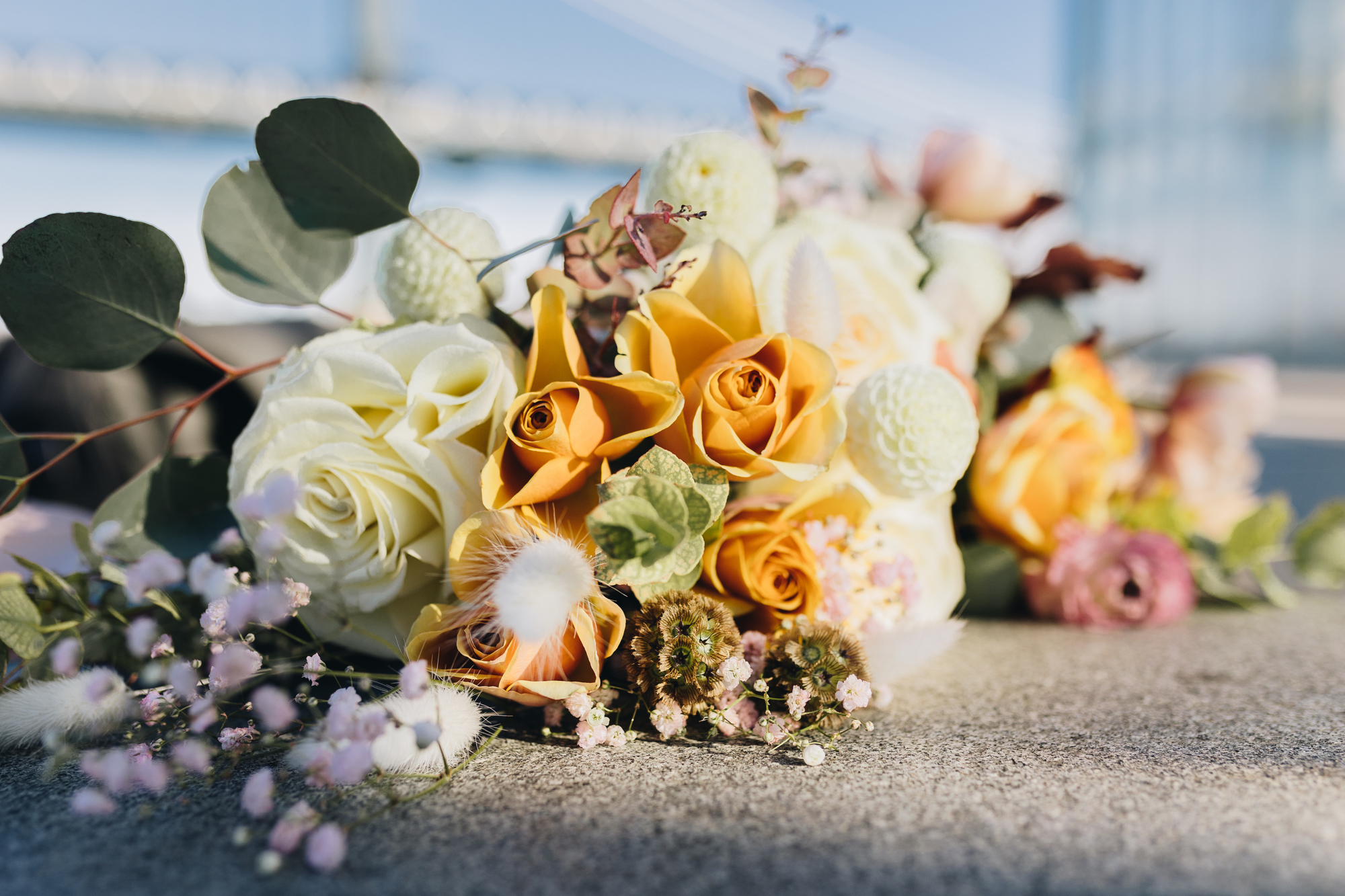 Loving Fall DUMBO Elopement with New York views and foliage
