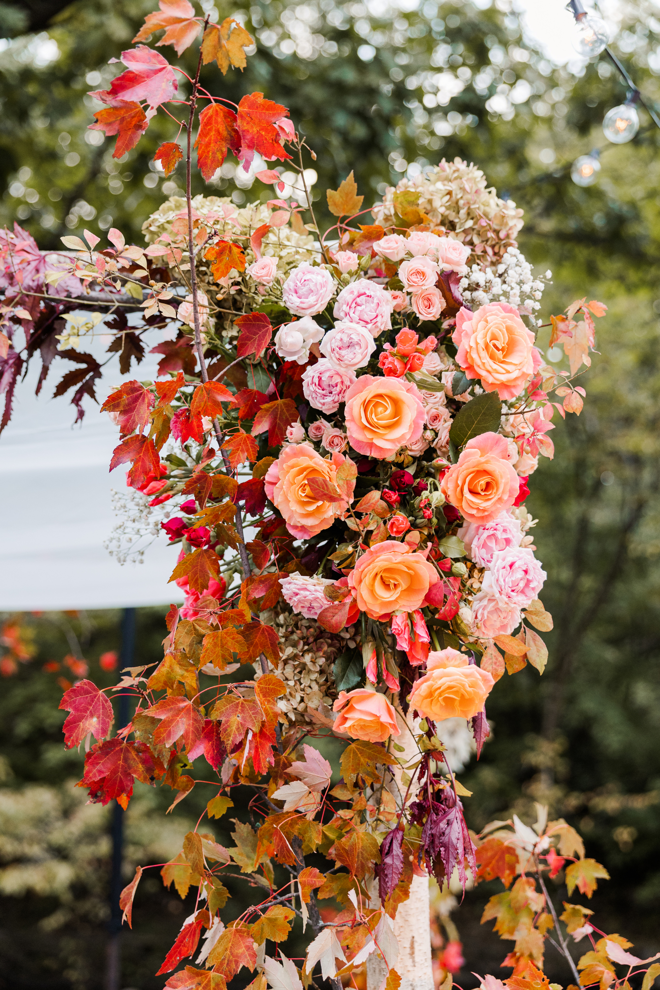 Fantastic Fall Botanic Garden Wedding Photos in New York