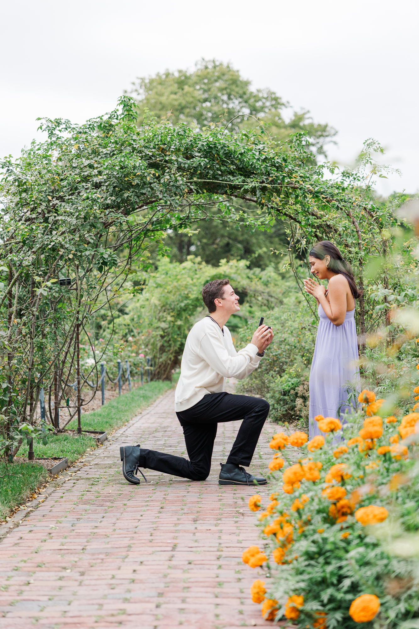 Elegant Proposal Photos in the Rose Garden at Brooklyn Botanic Garden