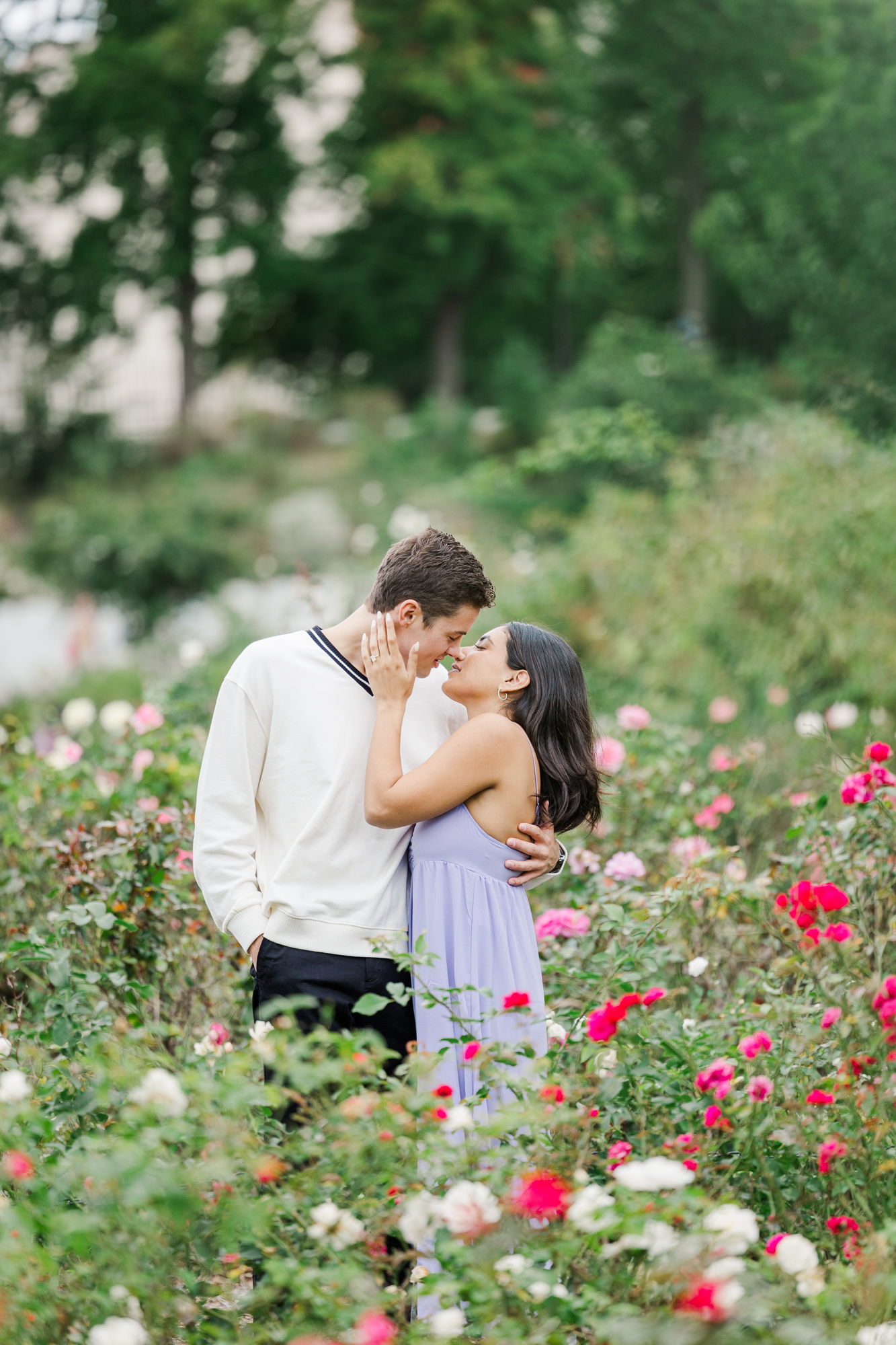 Picturesque Proposal Photos in the Rose Garden at Brooklyn Botanic Garden