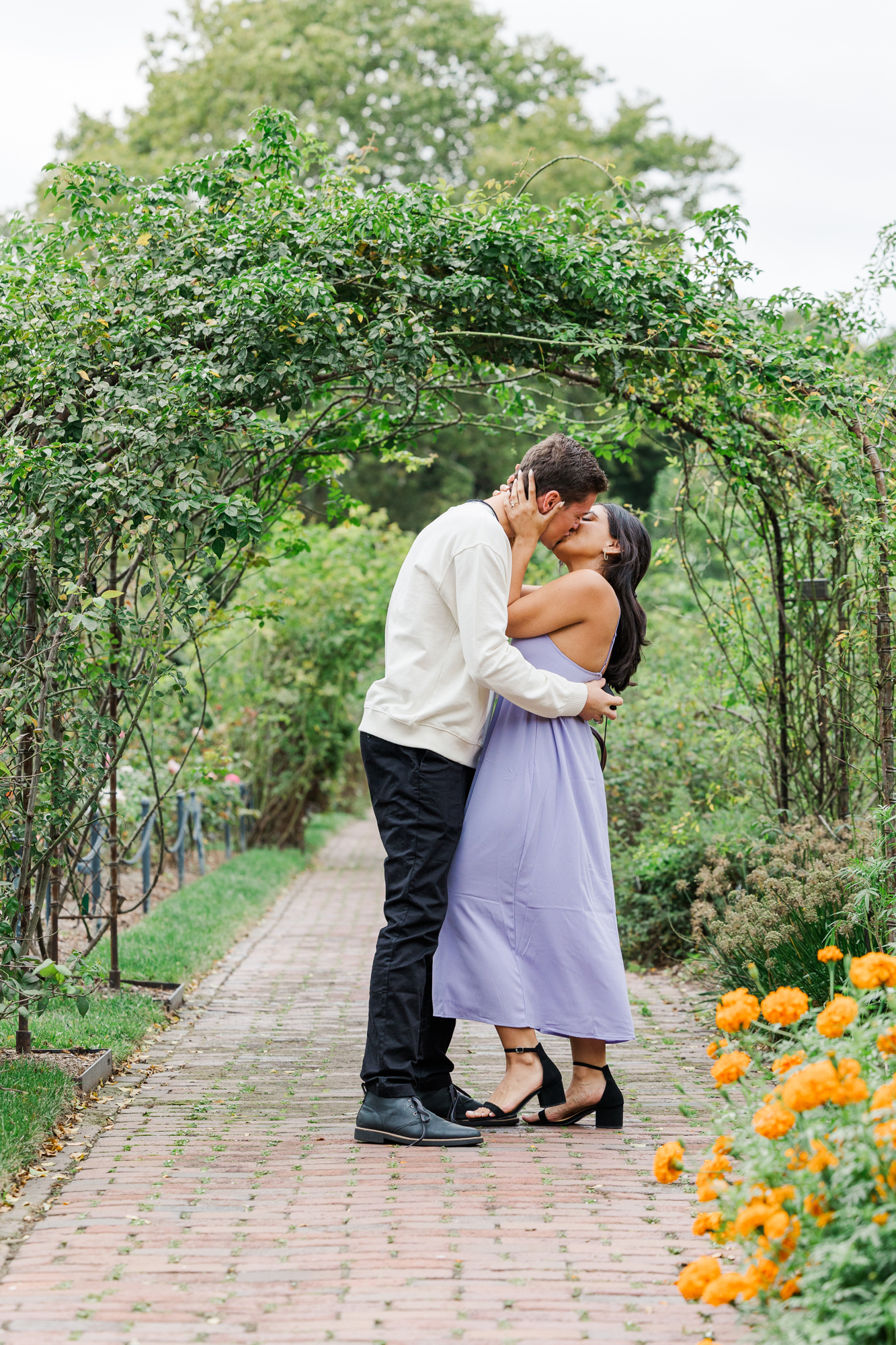 Intimate Proposal Photos in the Rose Garden at Brooklyn Botanic Garden