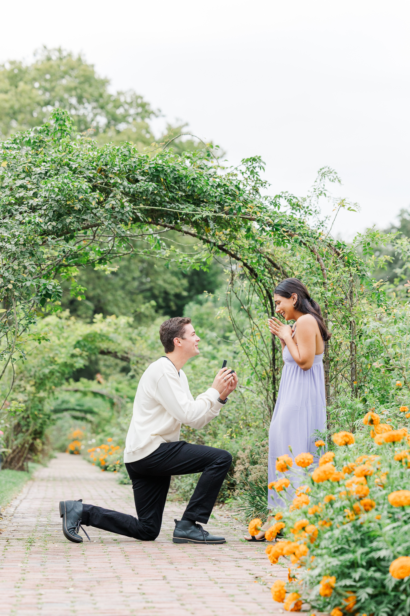 Sensational Proposal Photos in the Rose Garden at Brooklyn Botanic Garden