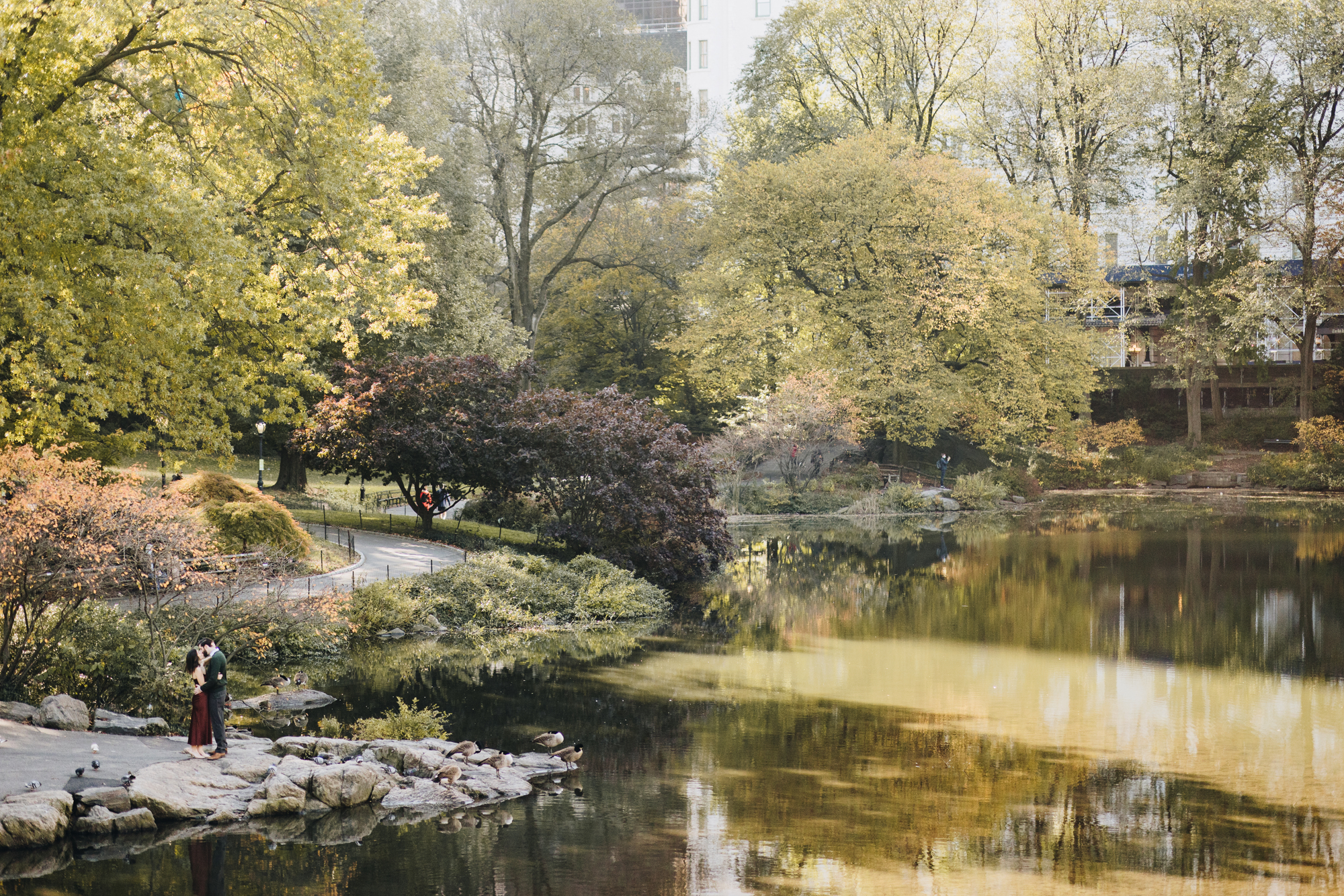 Scenic Central Park Engagement Photos in Fall