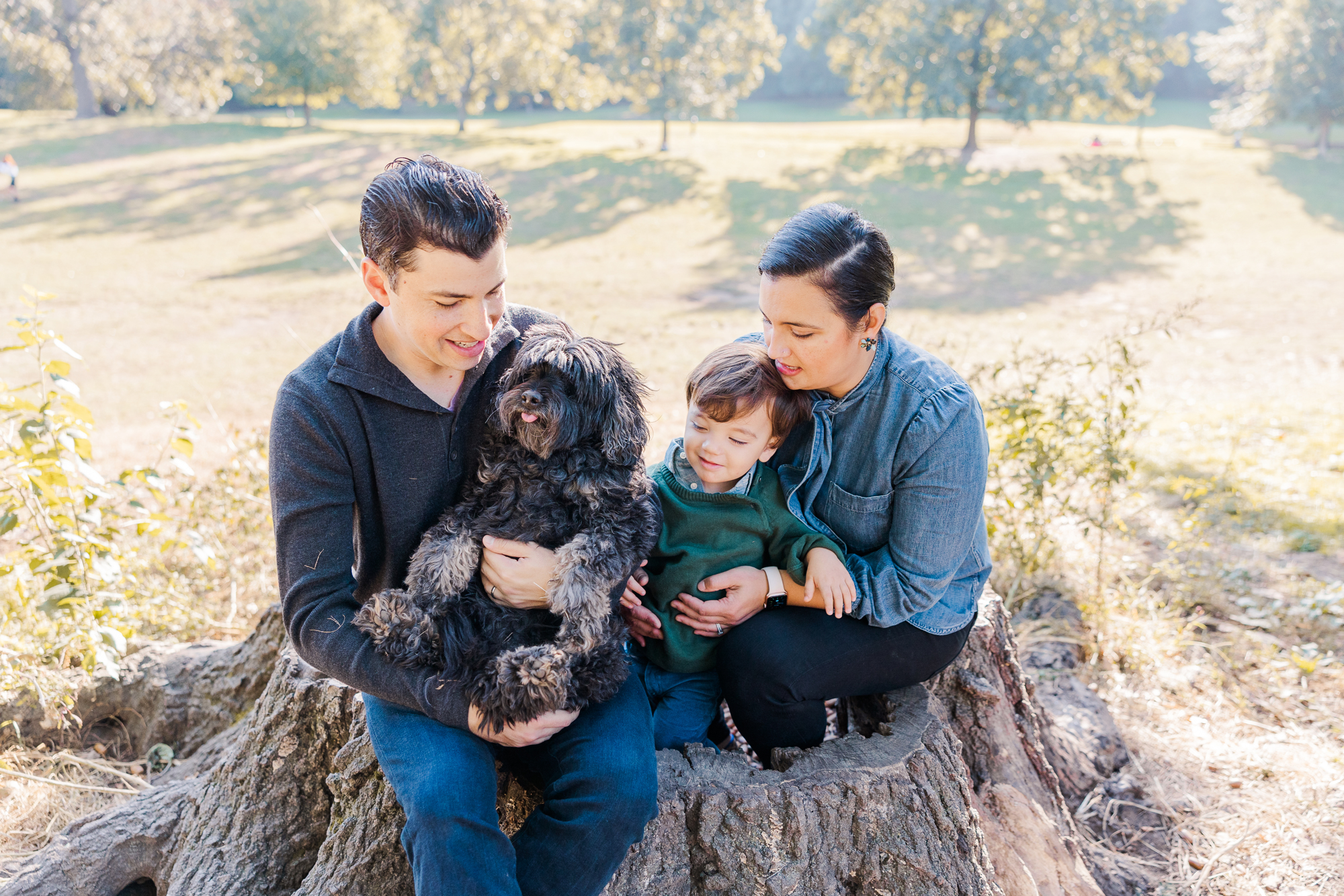 Stunning Family Photos Including the Family Dog, NYC