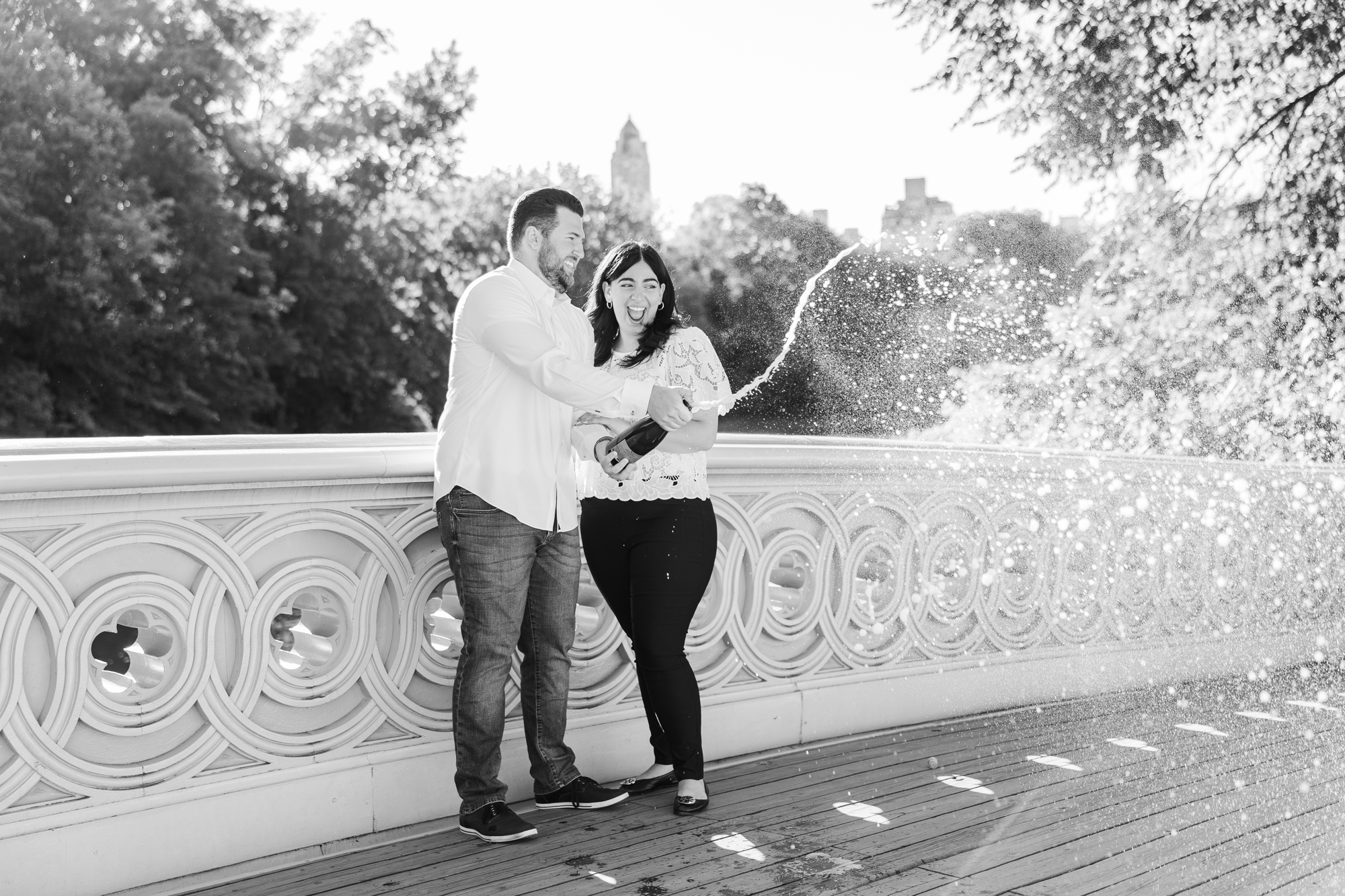 Special Central Park Engagement Photos in New York