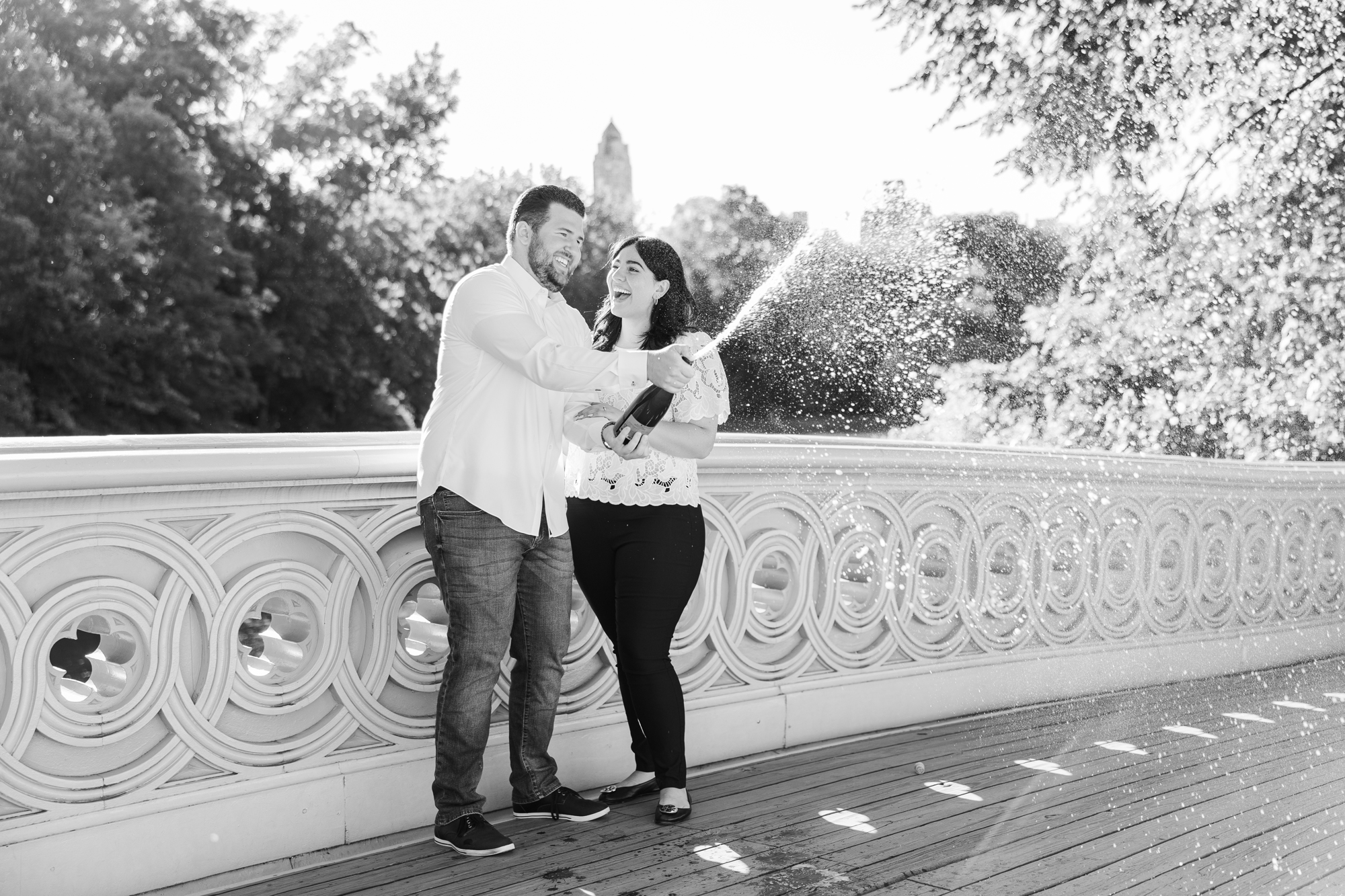 Jaw - Dropping Central Park Engagement Photos in New York