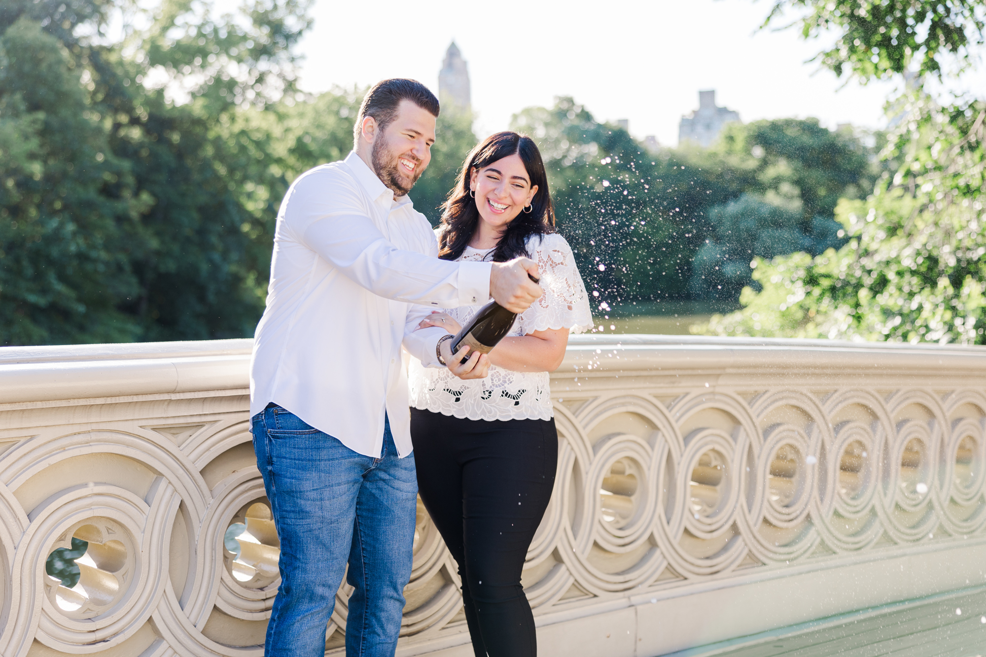 Romantic Central Park Engagement Photos in New York