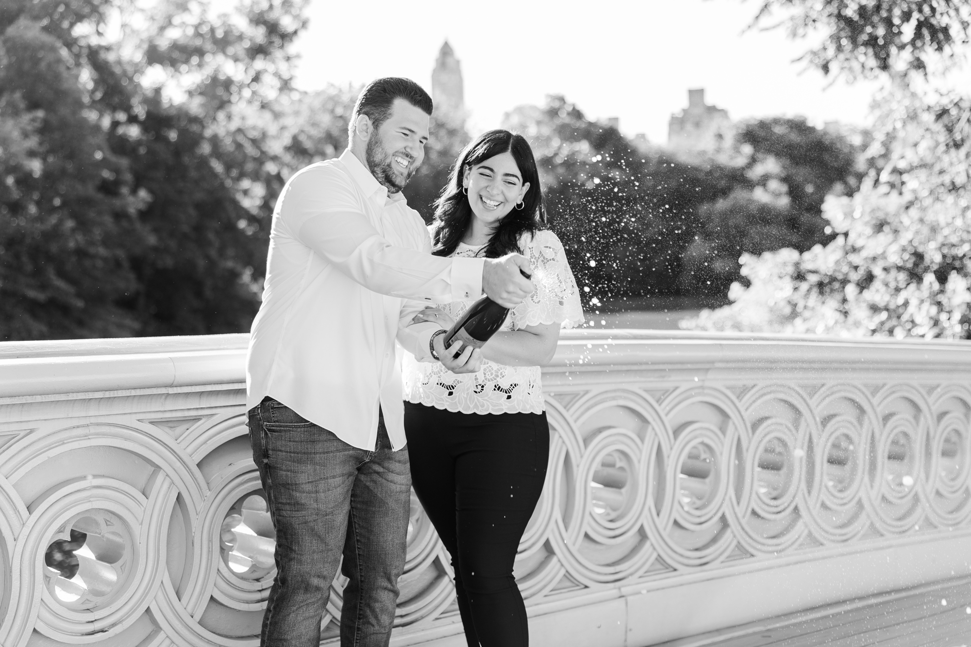 Stunning Central Park Engagement Photos in New York