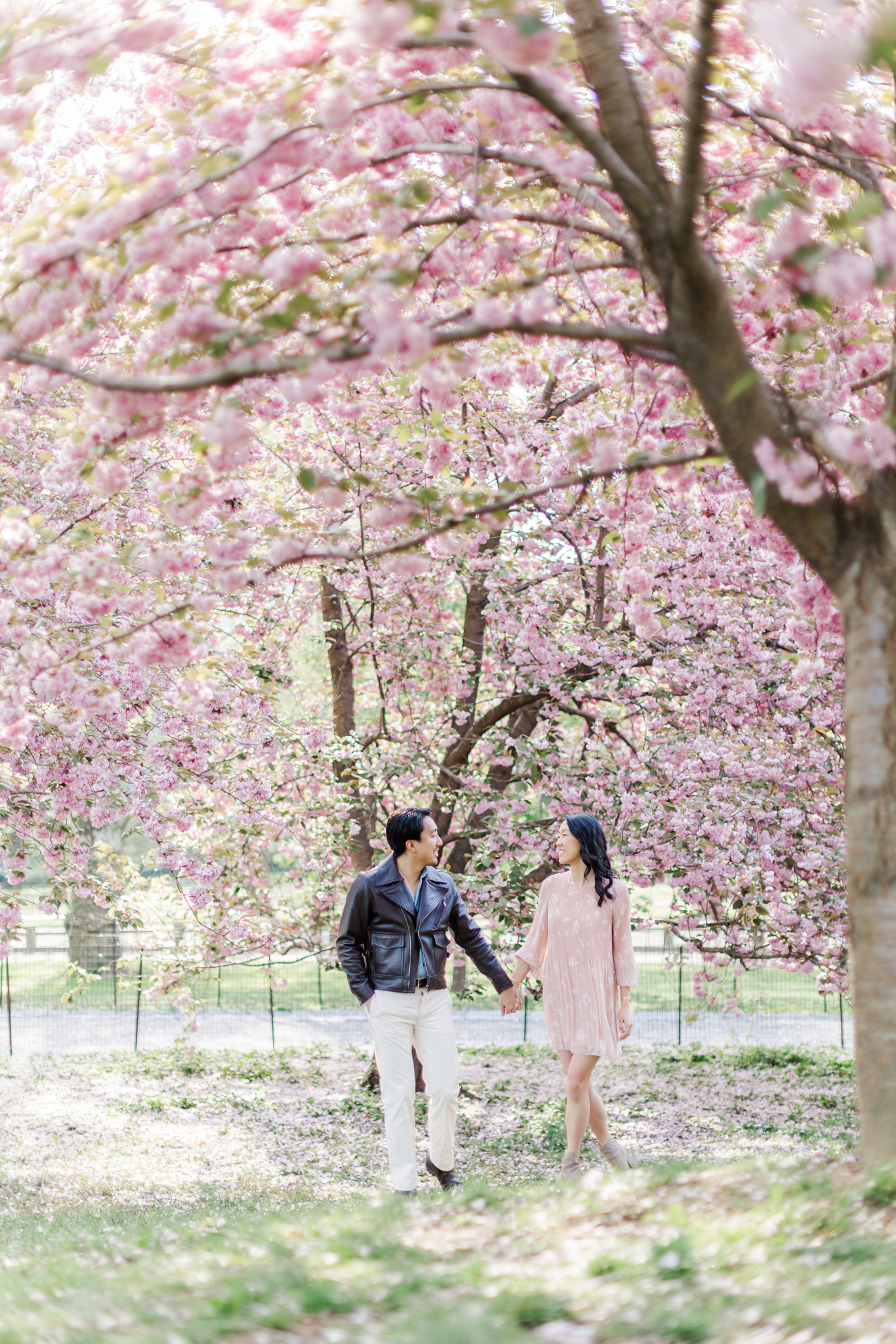 Joyous Engagement Photos With Cherry Blossoms in NYC