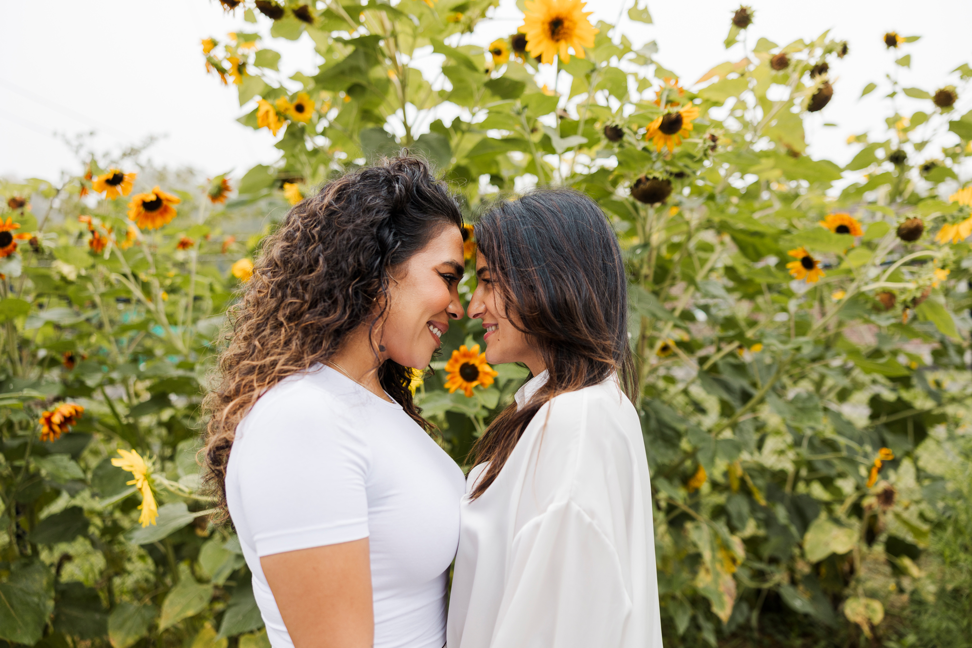 Amazing Dennings Point engagement photos
