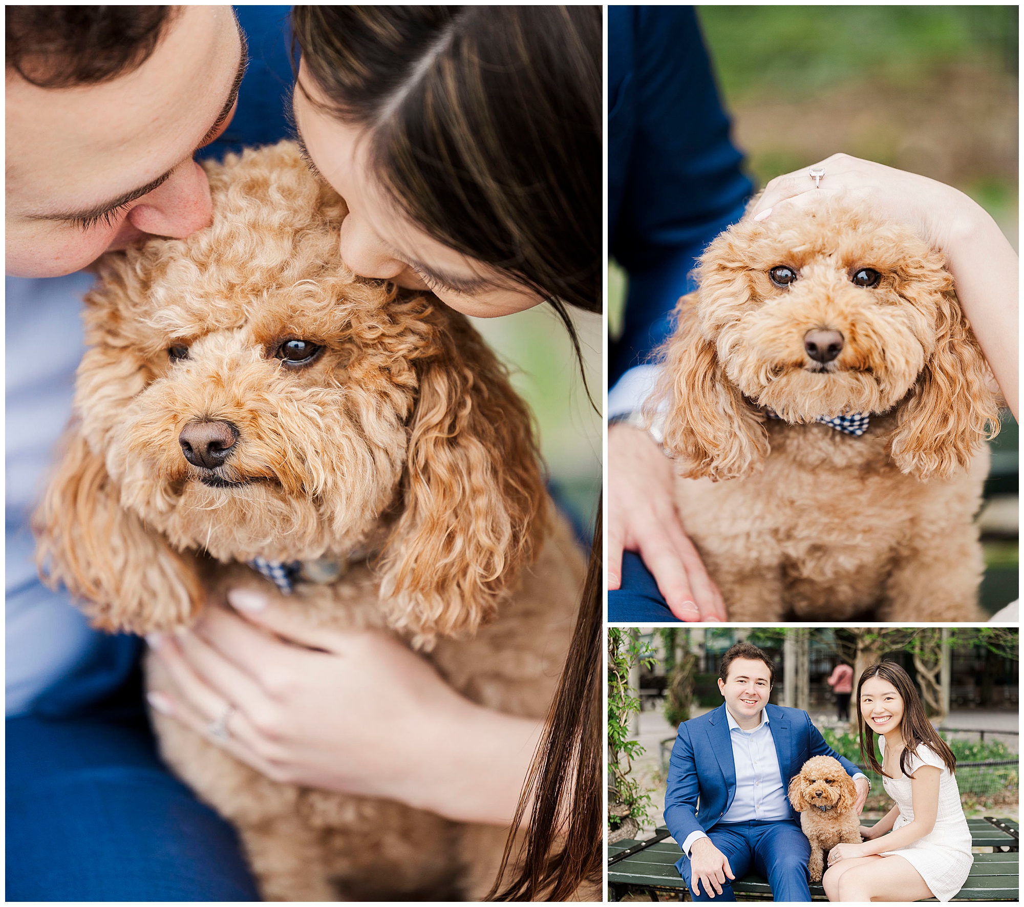 Cheerful engagement session at battery park