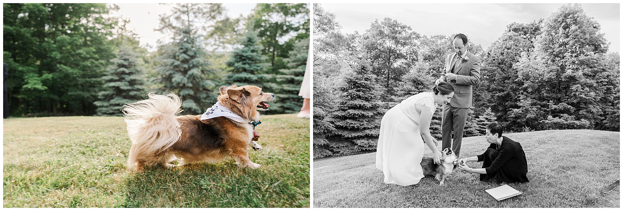 Joyous backyard wedding in the hudson valley