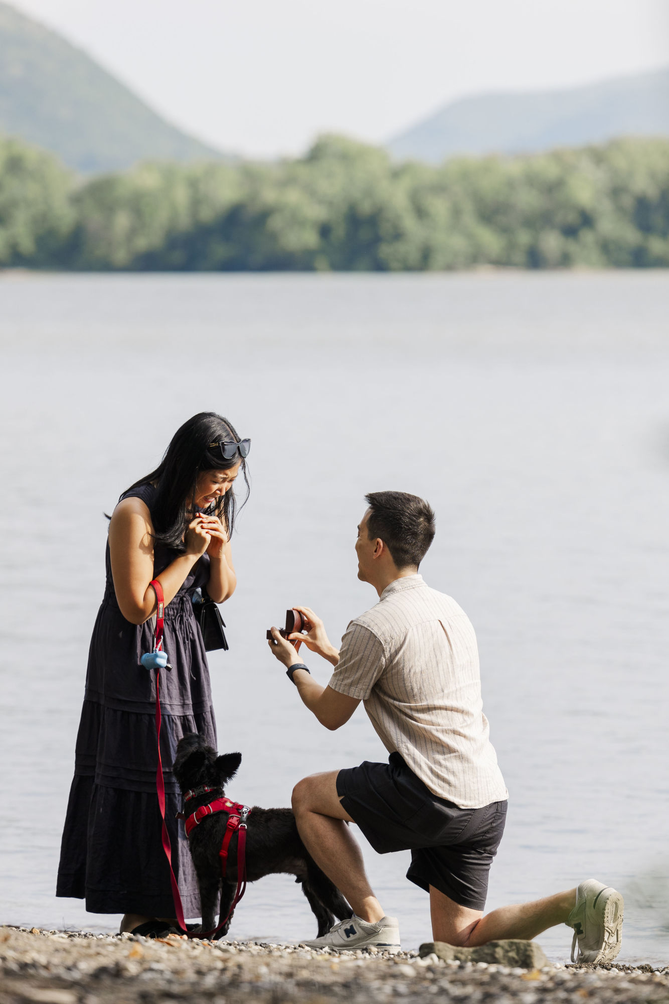 Flawless long dock park proposal