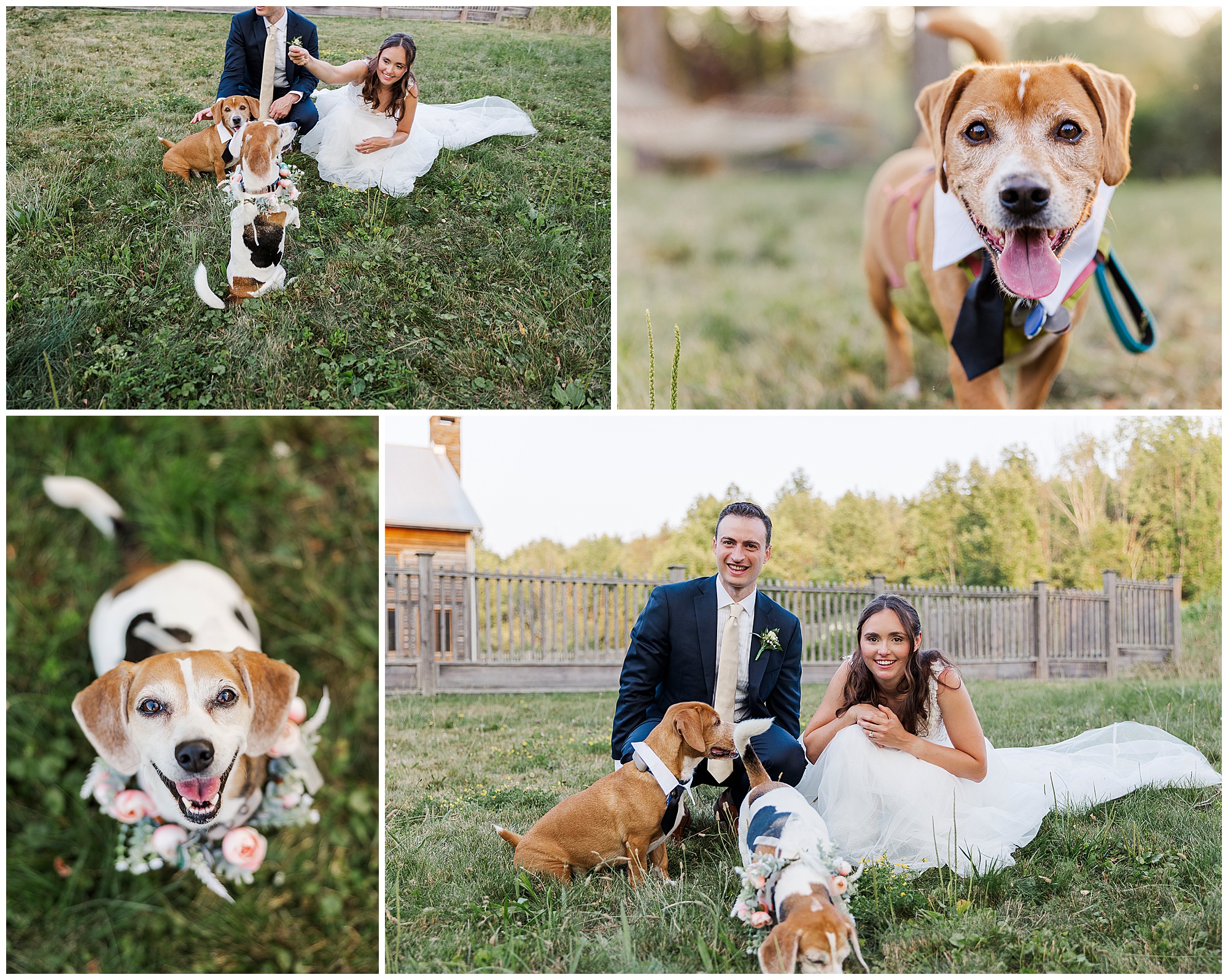 Joyful backyard wedding in the catskills