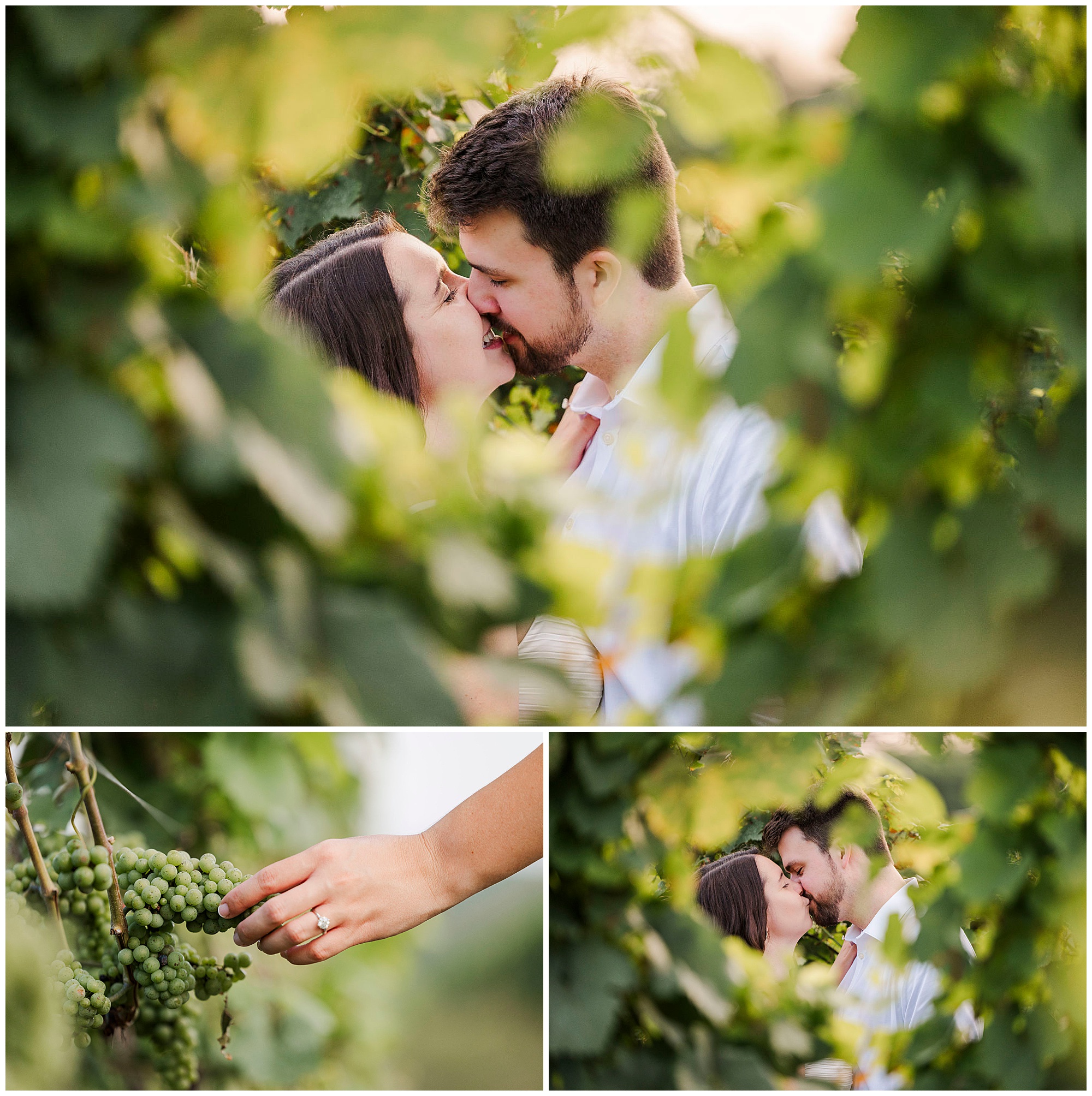 Magical engagement photos at millbrook winery