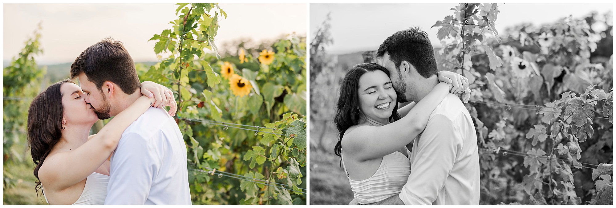 Radiant engagement photos at millbrook winery