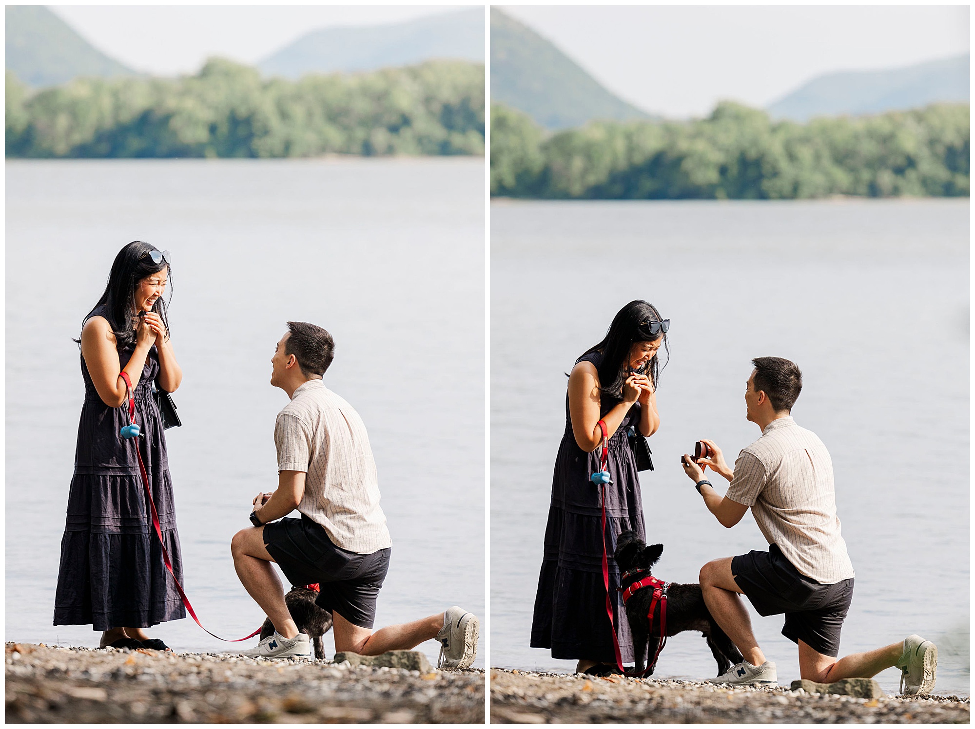 Heartfelt long dock park proposal