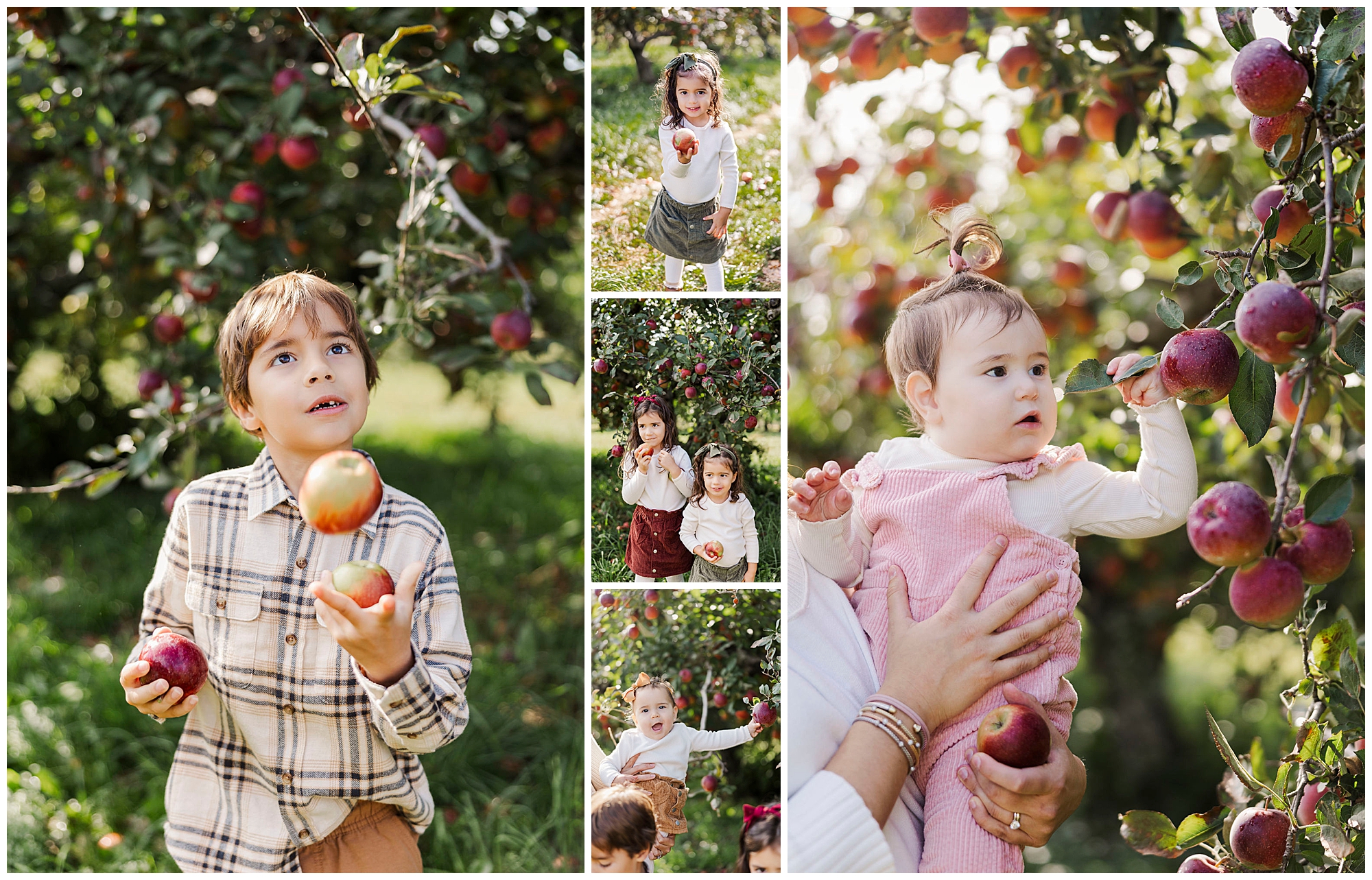 Timeless fishkill farms family photos