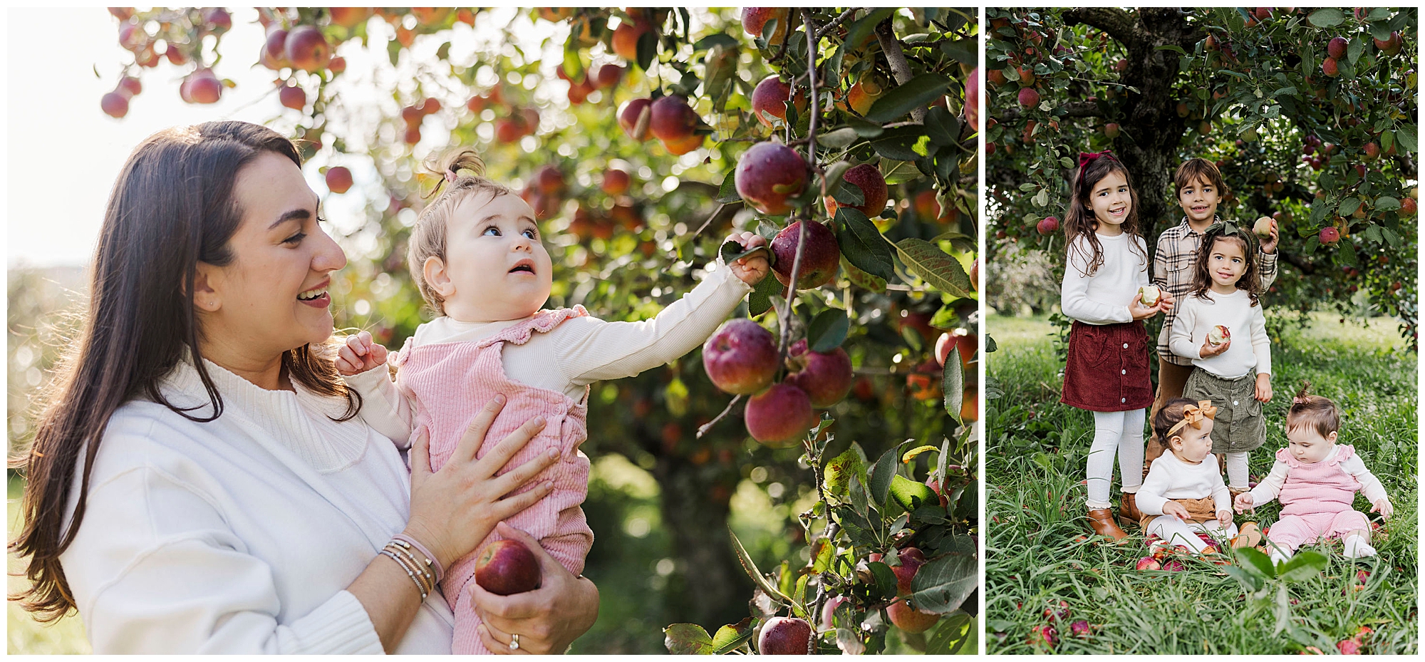 Fun fishkill farms family photos