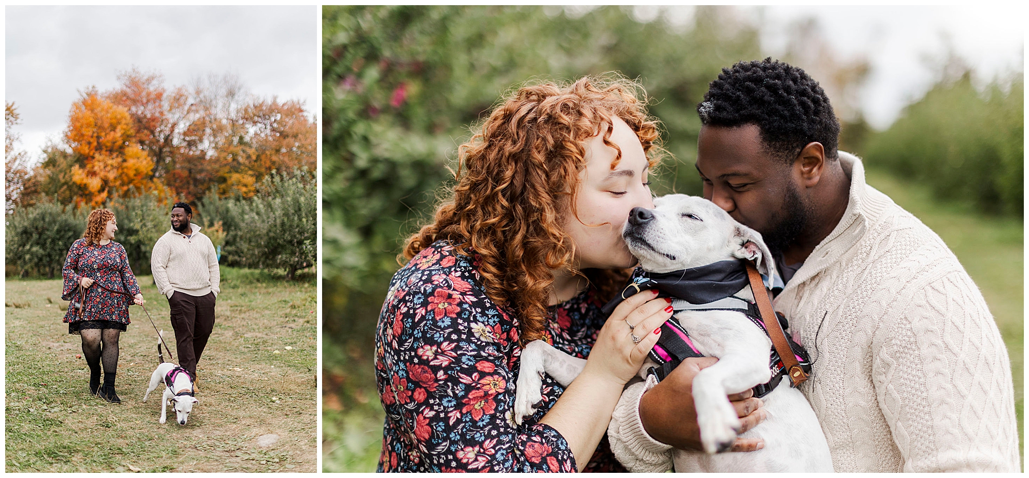 Playful apple picking engagement photos in hudson valley