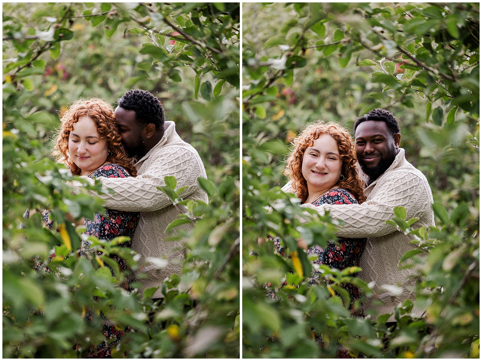 Charming apple picking engagement photos in hudson valley