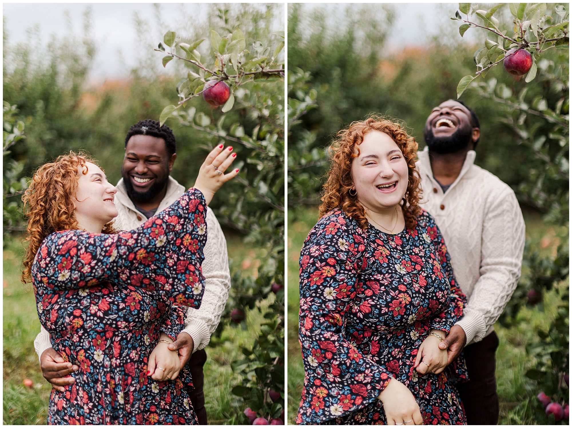 Candid apple picking engagement photos in hudson valley