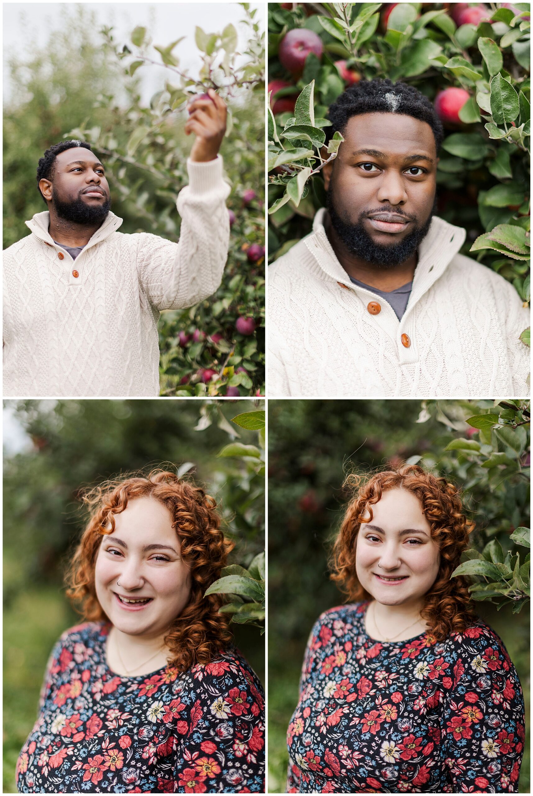 Romantic apple picking engagement photos in hudson valley