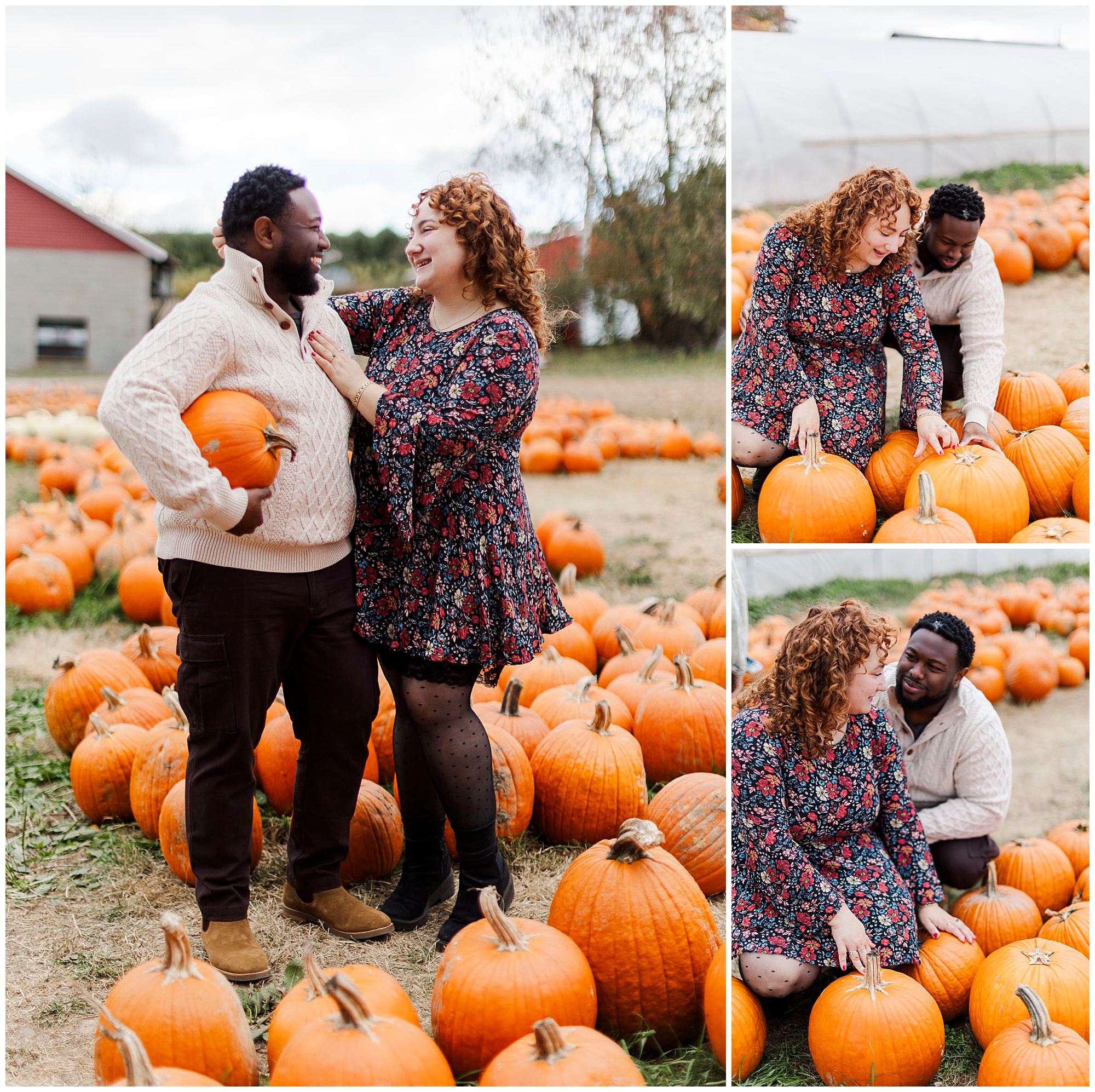 Stunning apple picking engagement photos in hudson valley