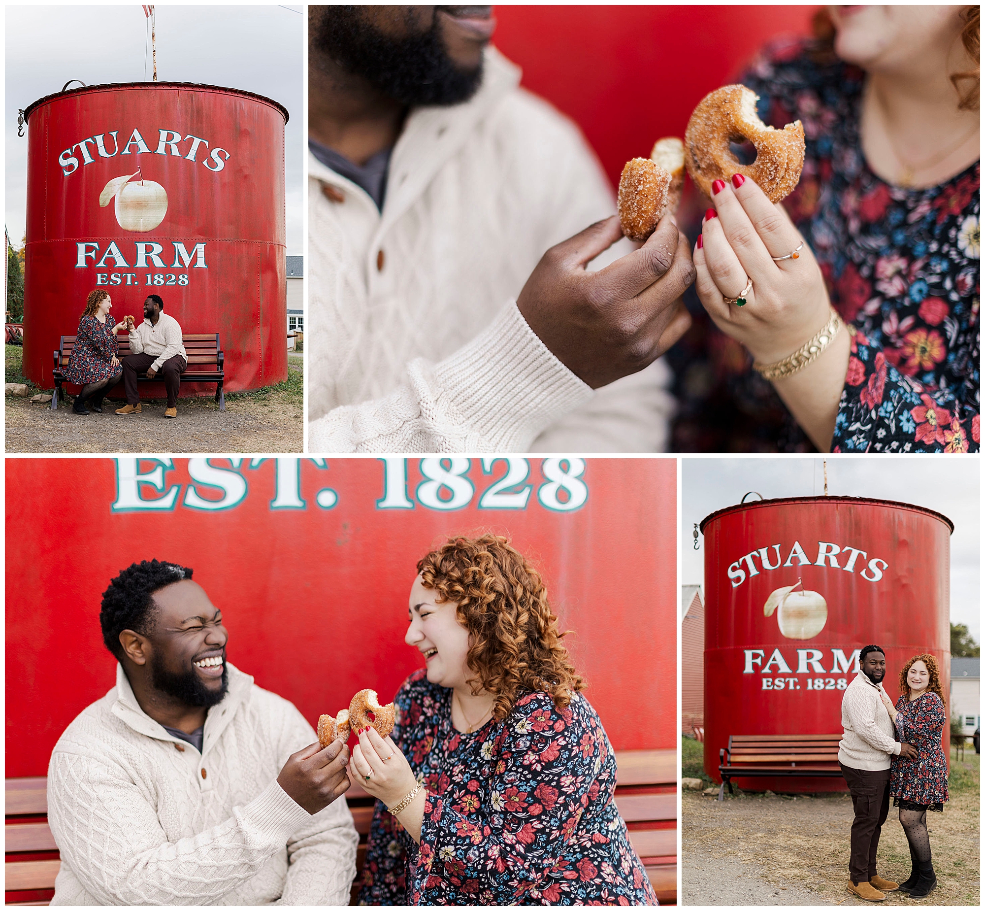 Gorgeous apple picking engagement photos in hudson valley