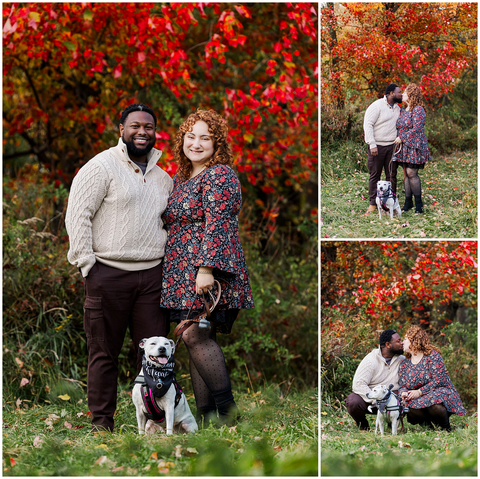 Classic apple picking engagement photos in hudson valley