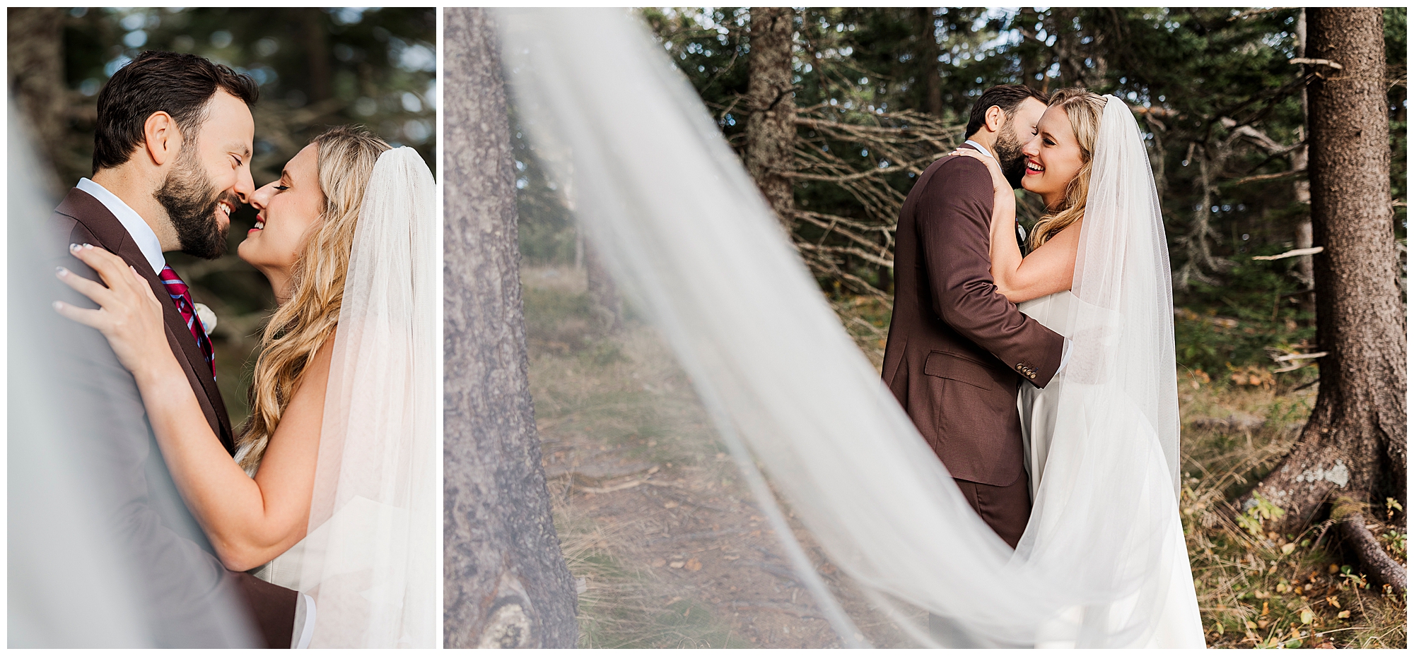 Sweet otter point overlook elopement