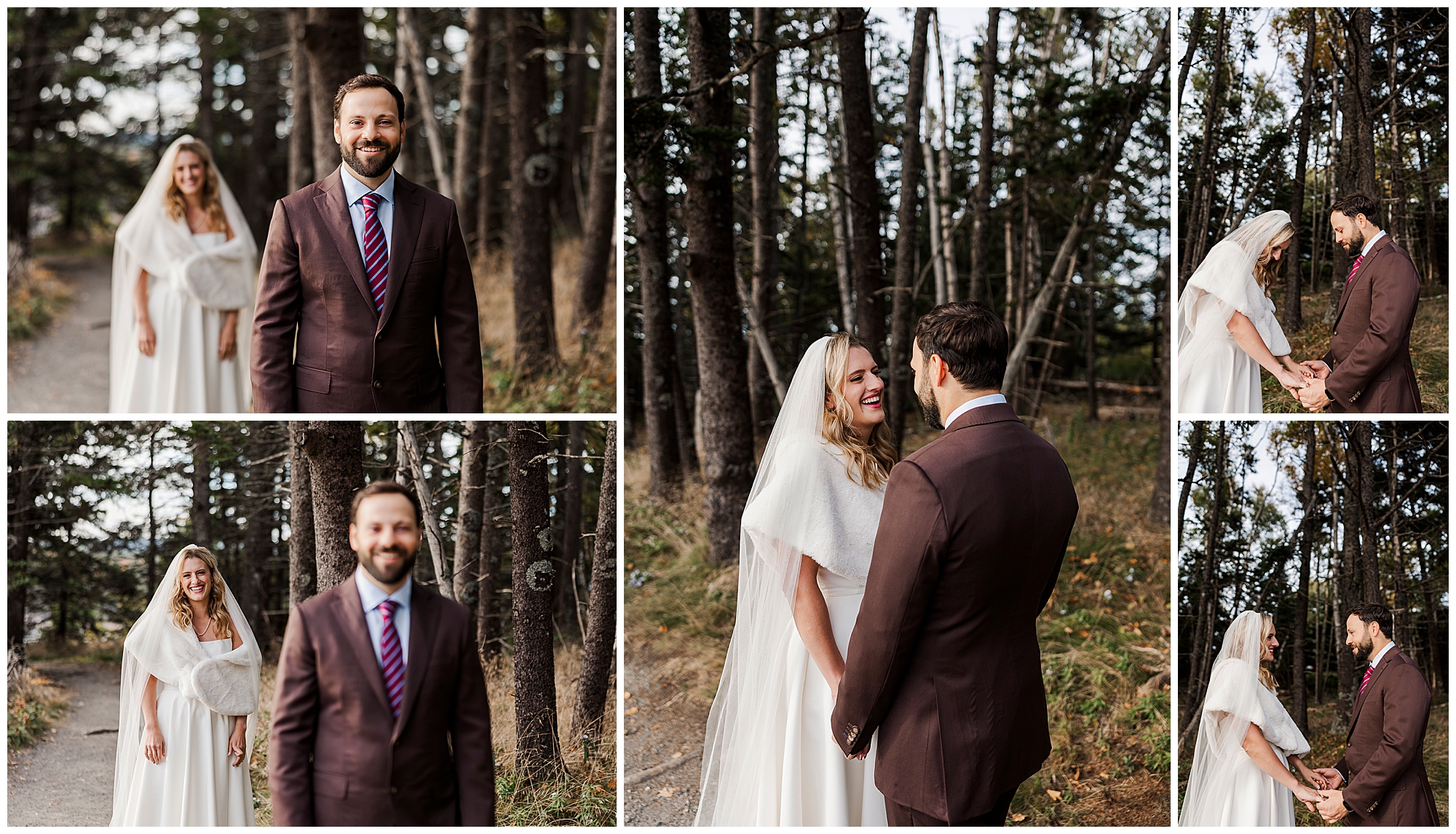 Wonderful otter point overlook elopement