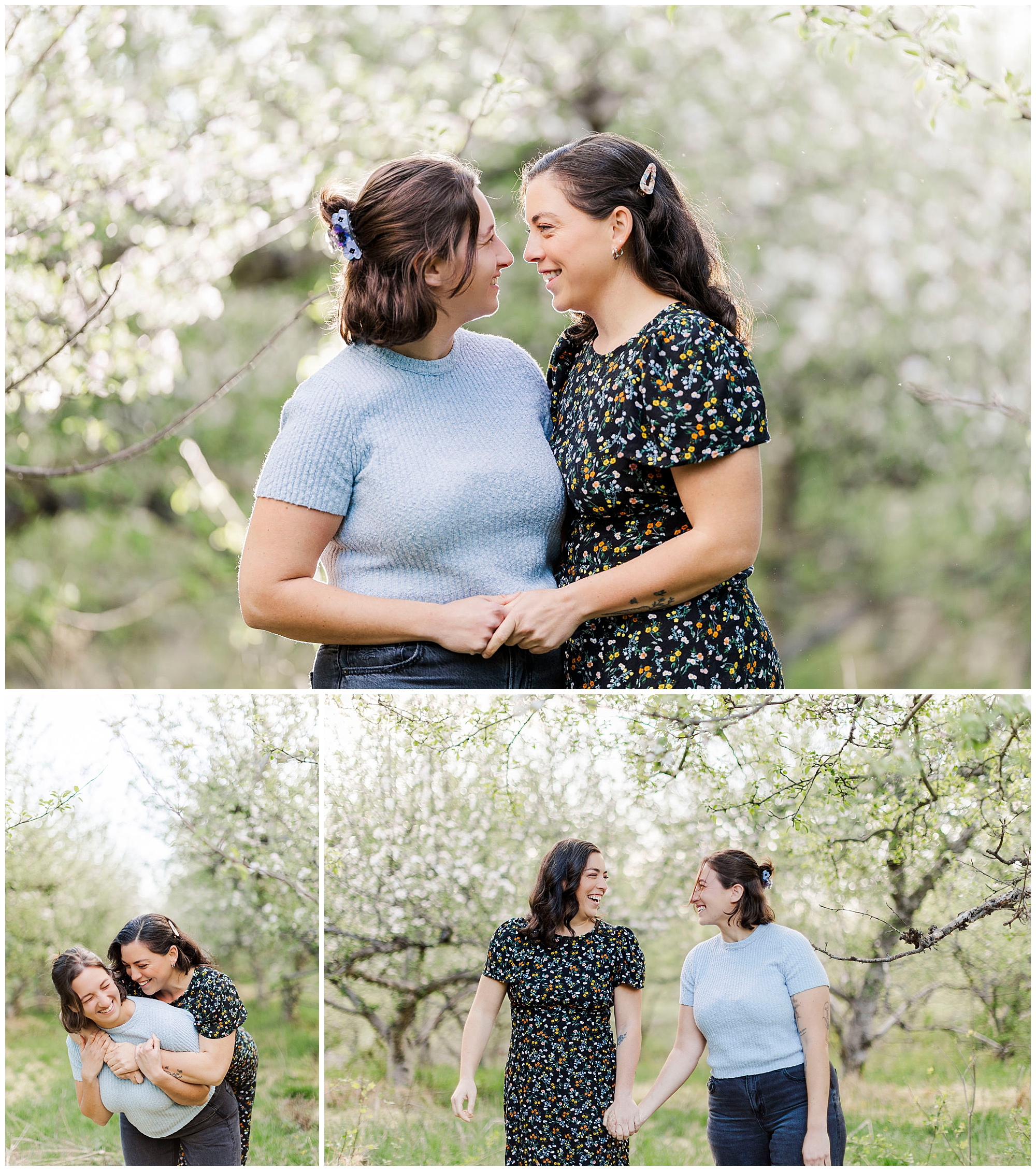 Vibrant apple orchard engagement photos in the hudson valley