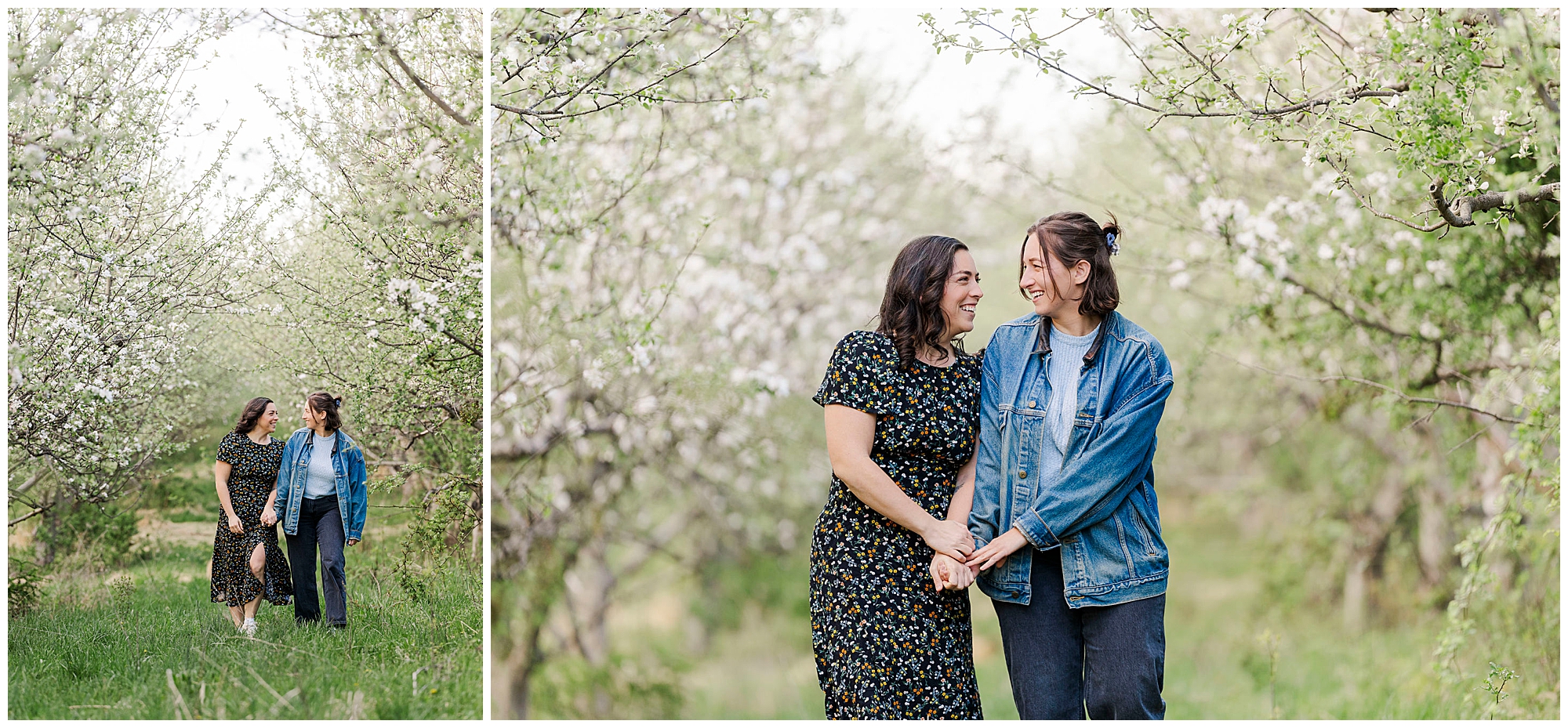 Lovely apple orchard engagement photos in the hudson valley