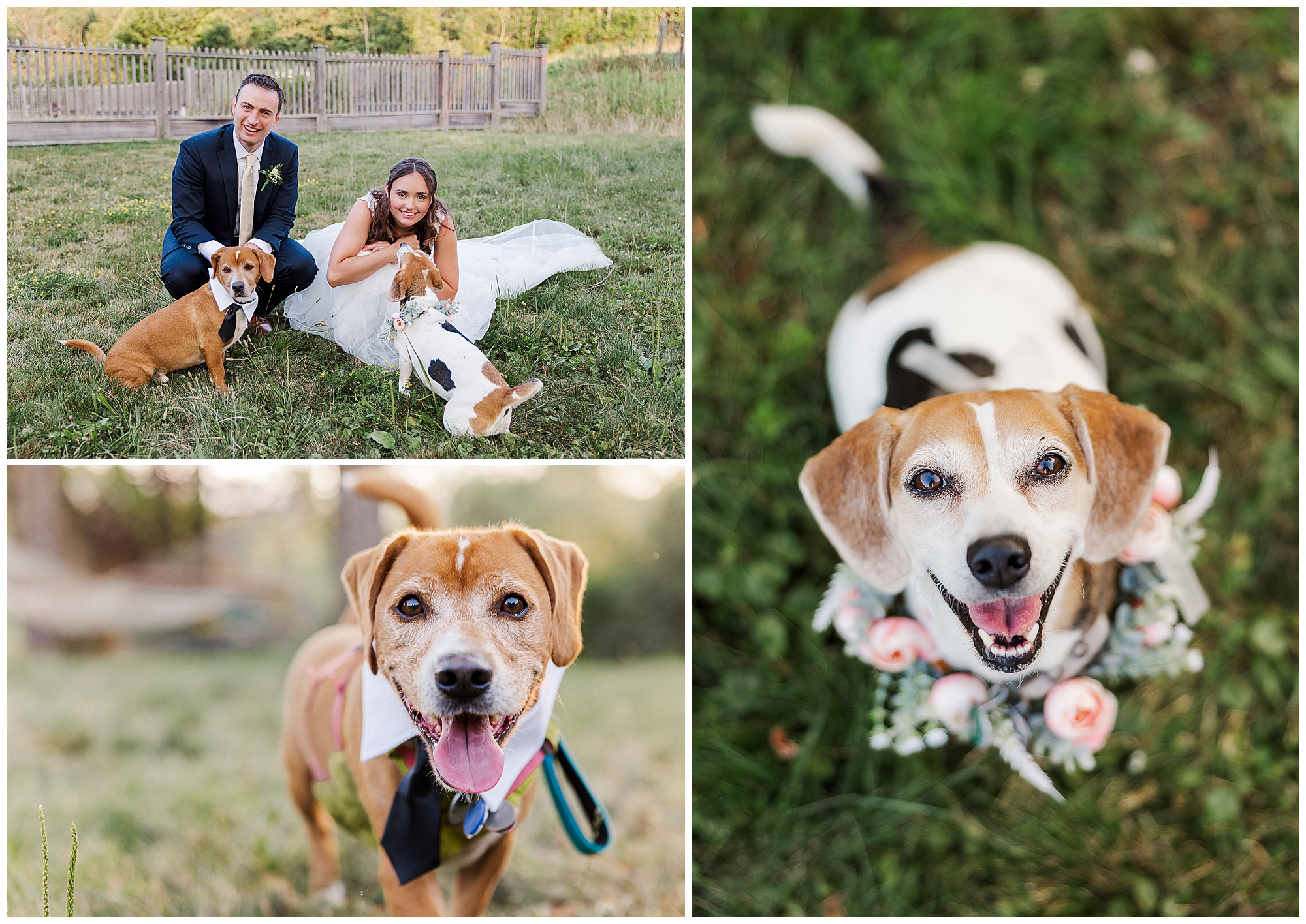 Hudson Valley backyard micro-wedding tips