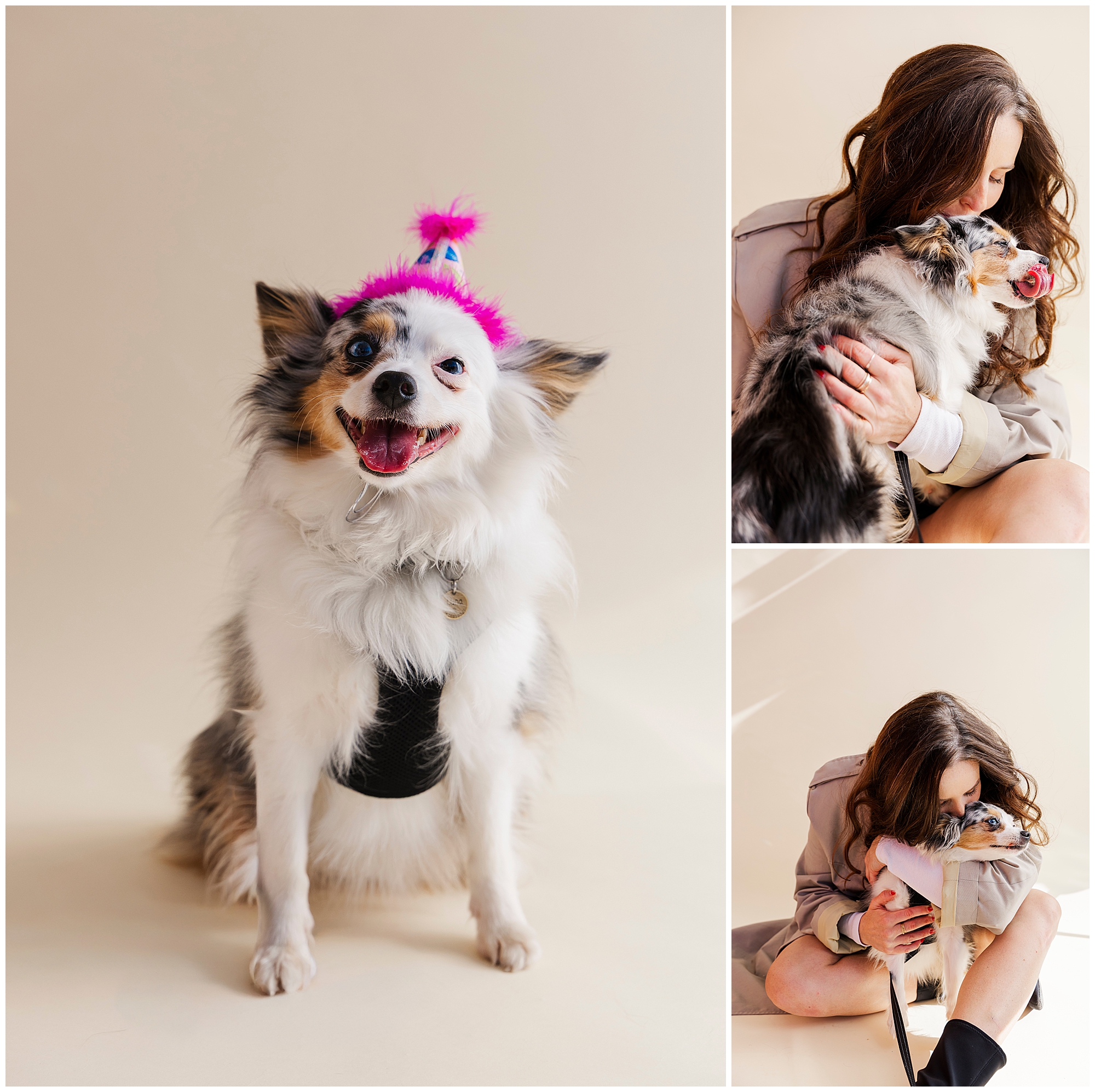 Cute Hudson Valley pet photography