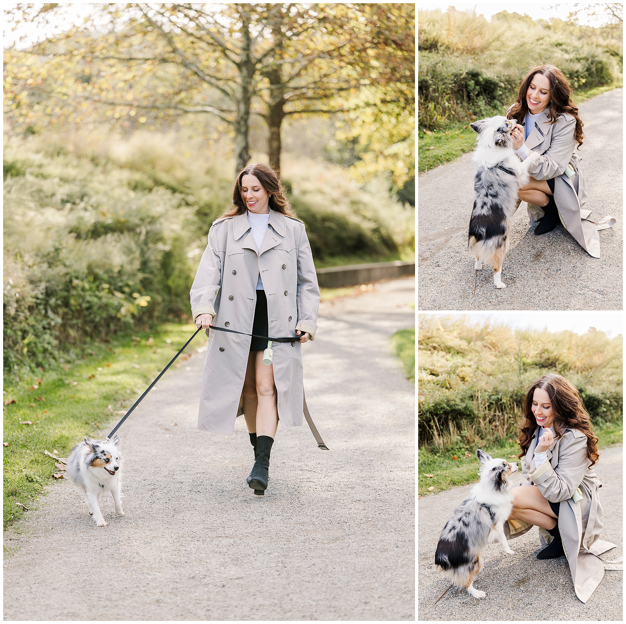 Natural Hudson Valley pet photography