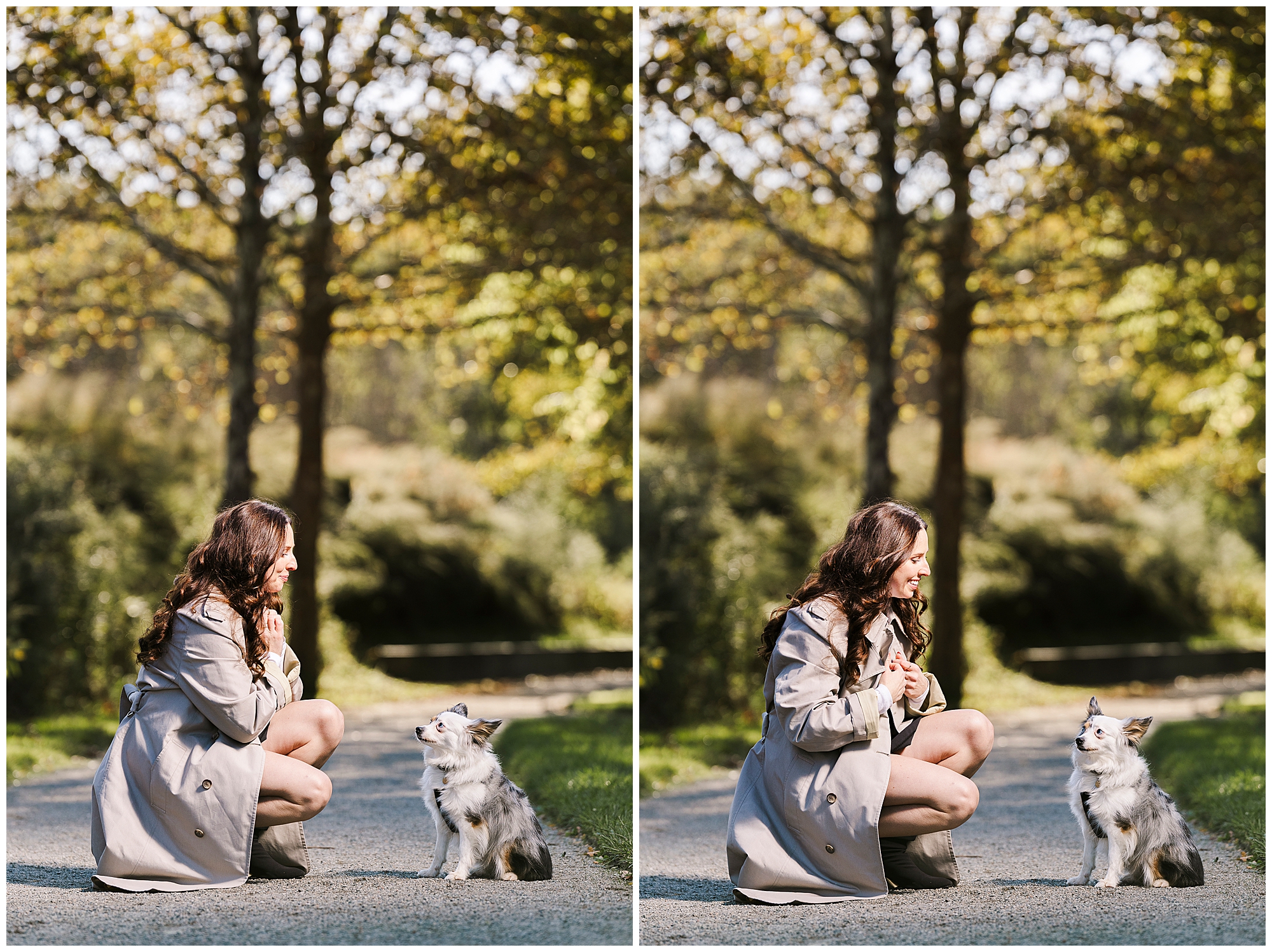Classic Hudson Valley pet photography