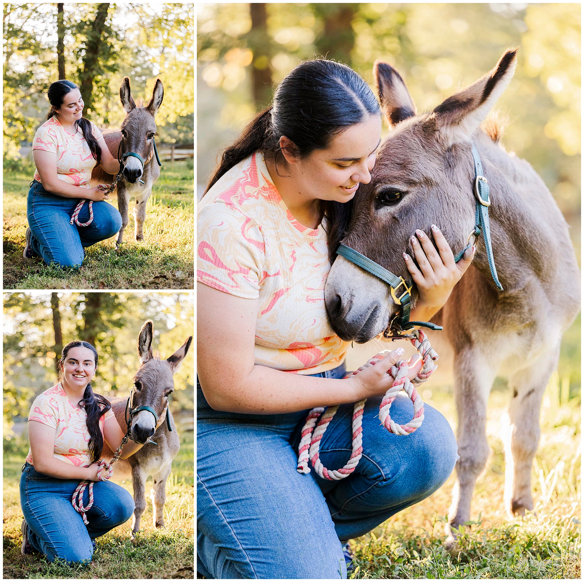 charming Hudson Valley pet photo shoot
