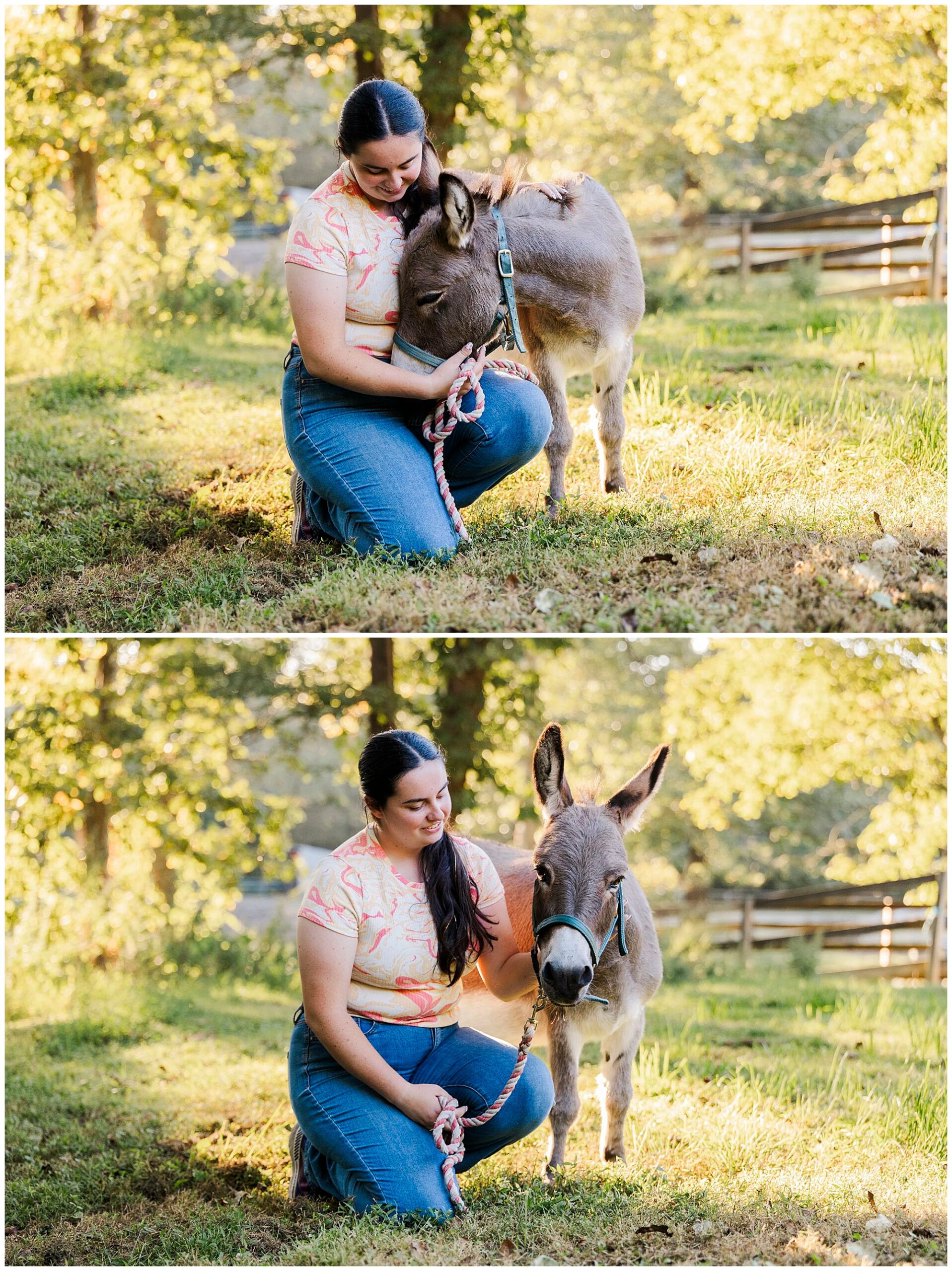 whimsical Hudson Valley pet photo shoot