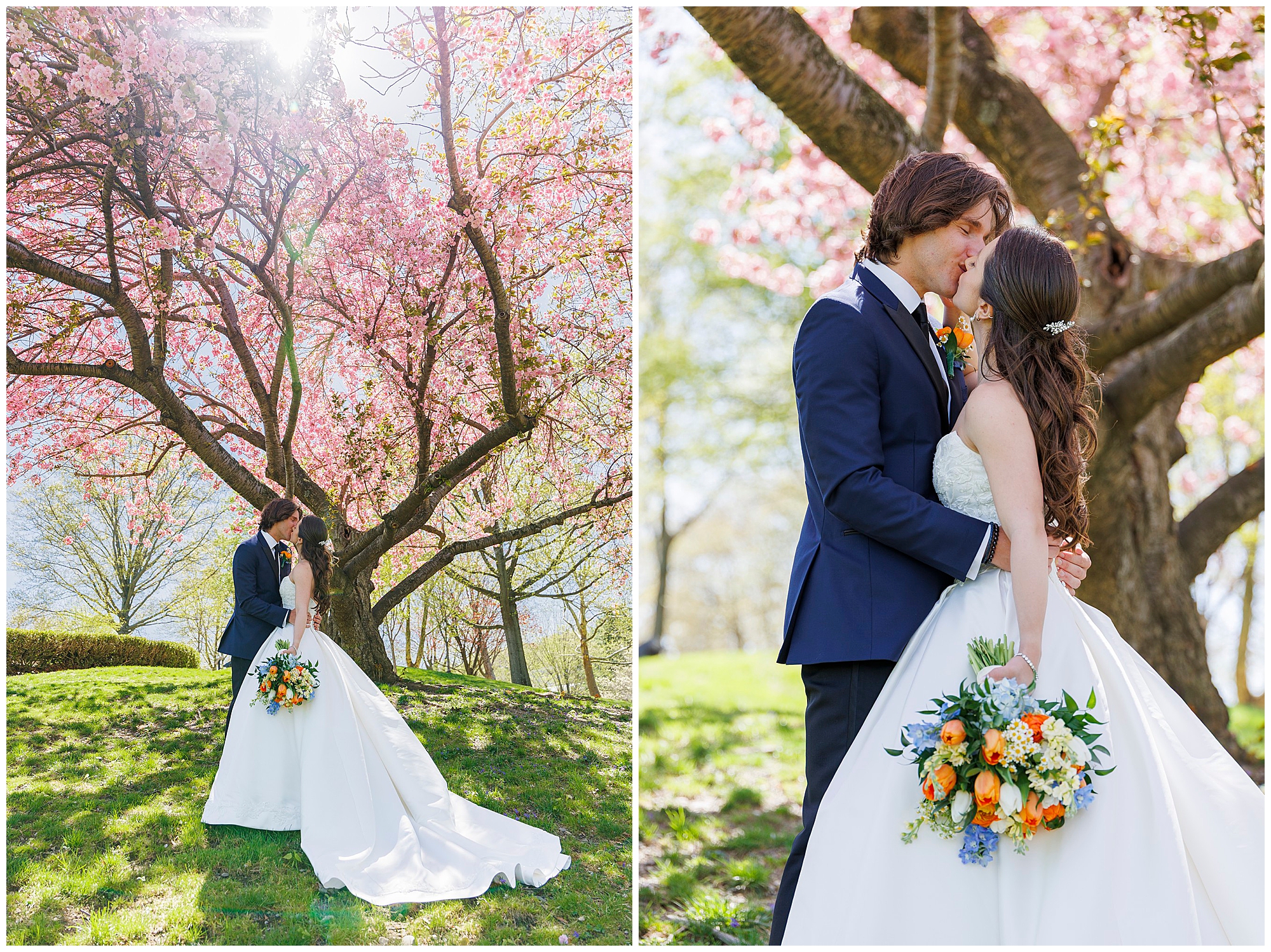 Couple sharing a kiss beneath a blooming cherry blossom tree, captured by a Beacon-based wedding photographer