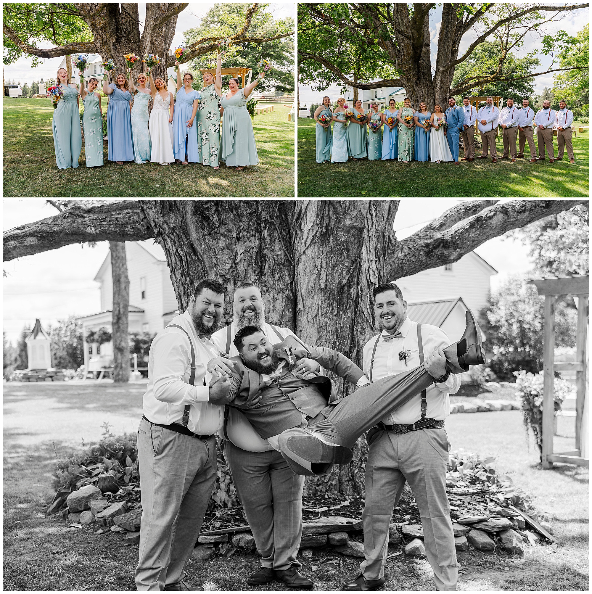 A wedding party poses outdoors at a beautiful Knotting Hill Farm wedding: bridesmaids in pastel dresses, groomsmen in shirts and suspenders, and three groomsmen lift and hold the groom while everyone smiles and laughs under a large tree.