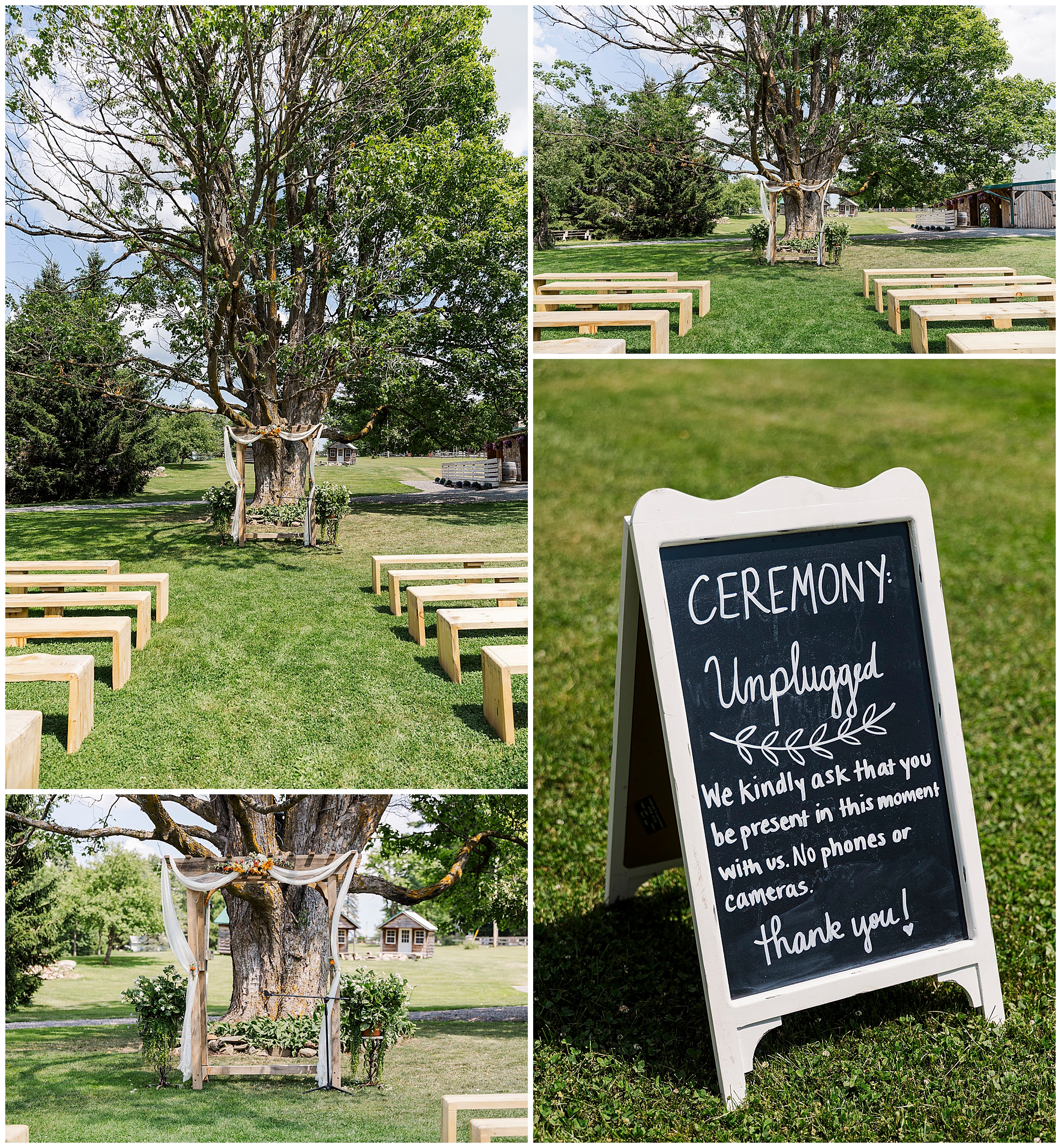 An outdoor wedding setup at Knotting Hill Farm features wooden benches facing a large tree draped in fabric. A chalkboard sign reads, Ceremony: Unplugged. Please be present with us. No phones or cameras. Thank you!.