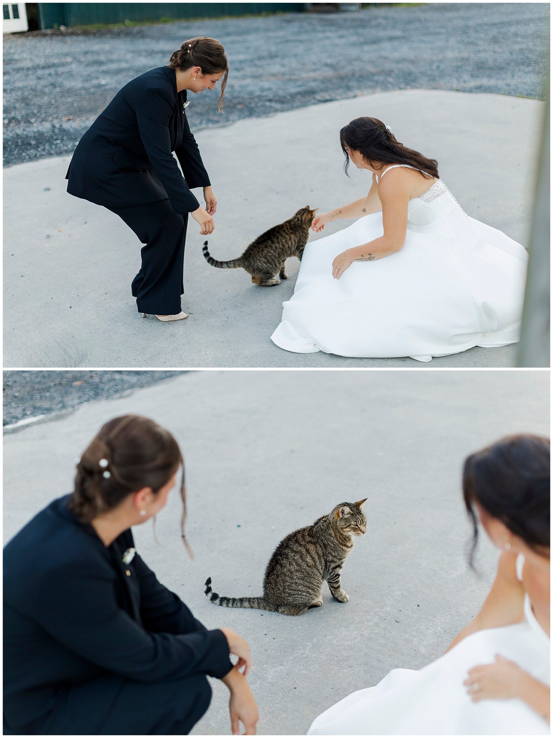 Two women, one in a black suit and the other in a white dress, interact with a tabby cat on a concrete surface outdoors. The cat sits calmly between them.