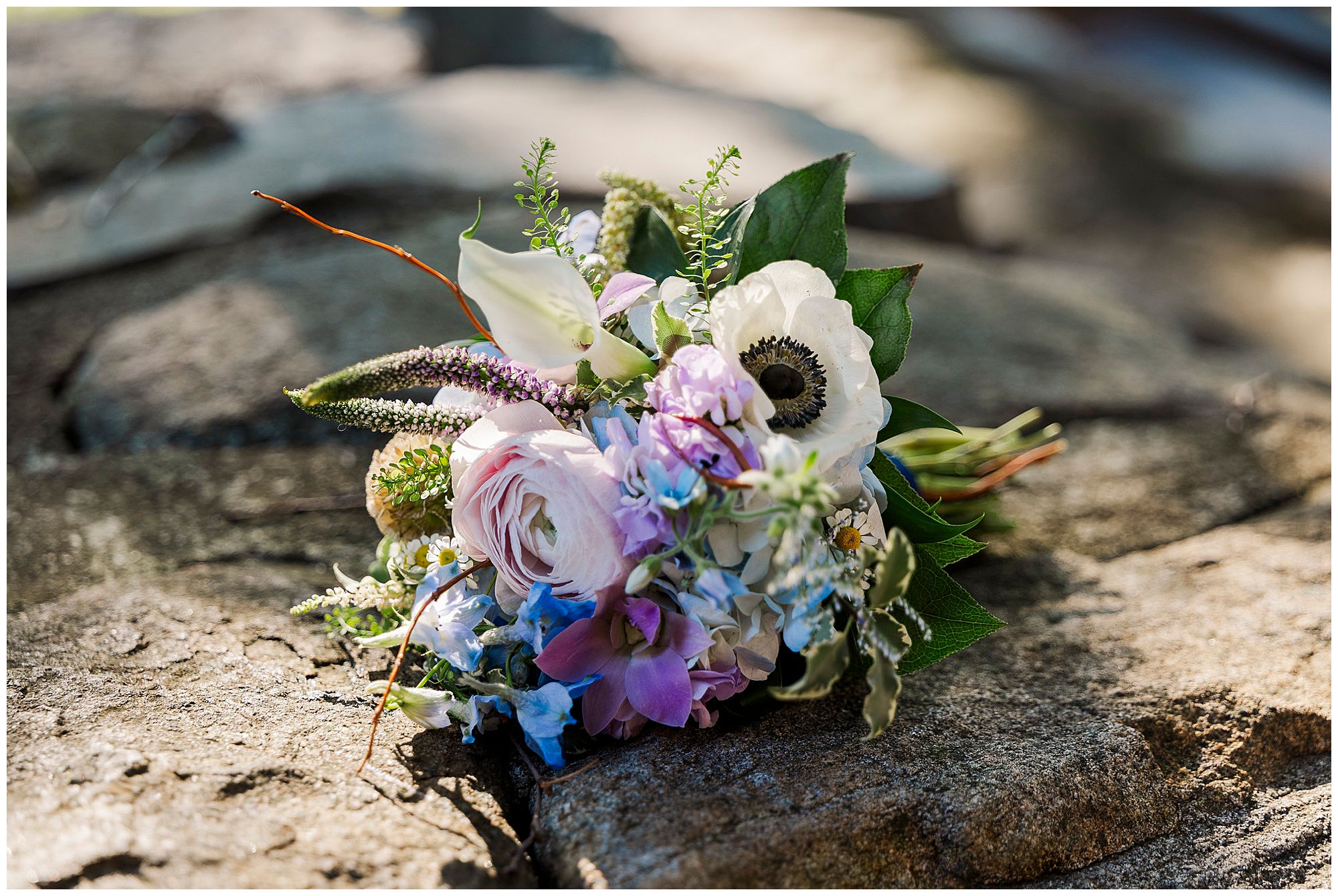 Bouquet of white, purple and blue flowers resting on a sunlit stone surface among green leaves.