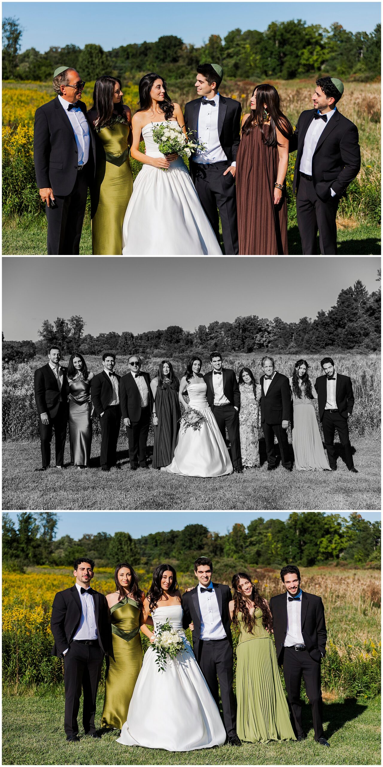 Three formal group photos outdoors: a bride in a white gown stands with her wedding party in tuxedos and dresses, posing in front of a field with greenery and trees in the background during an elegant backyard micro-wedding.